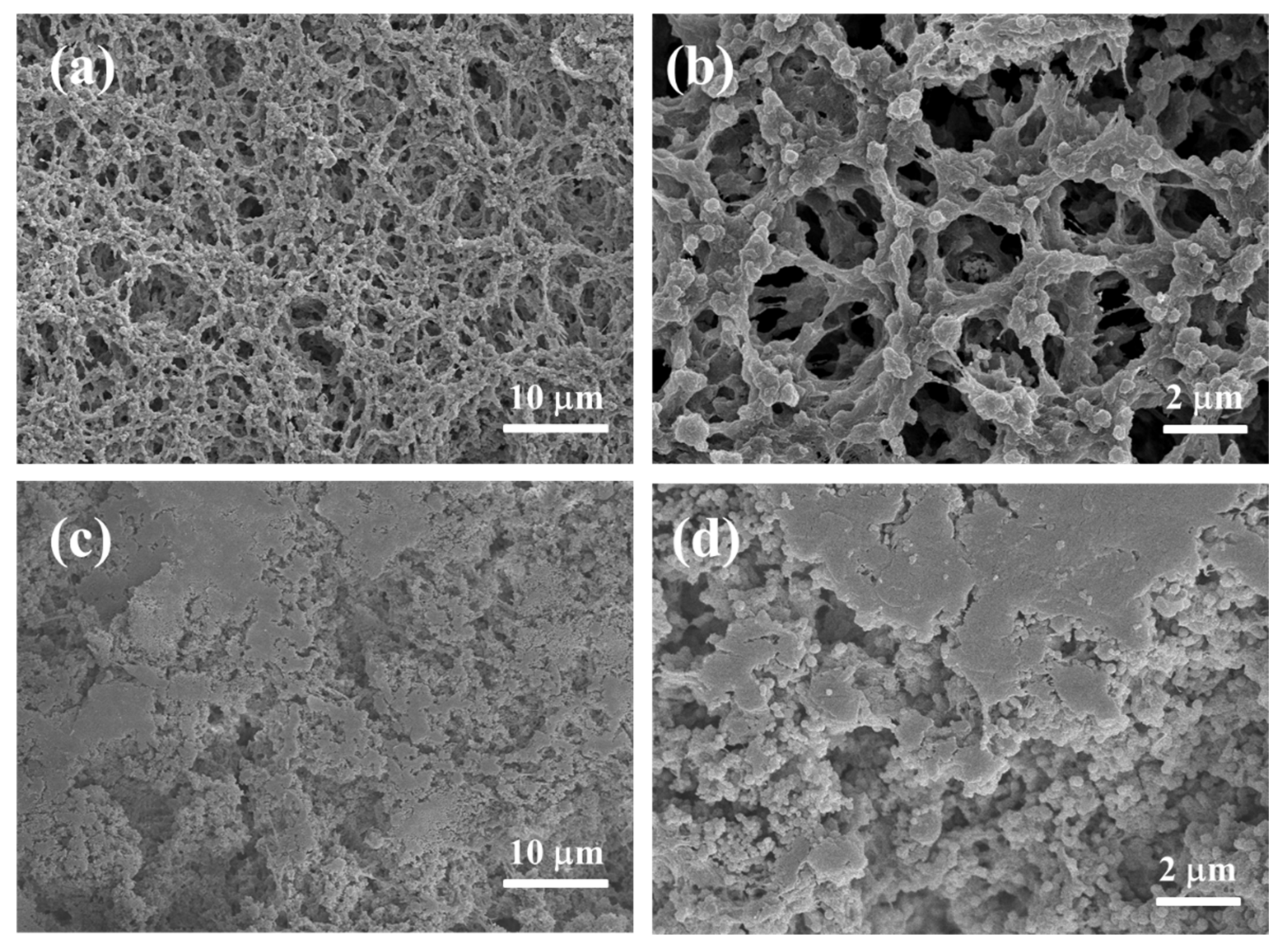 Molecules 27 06911 g001 Molecules 27 06911 g001
