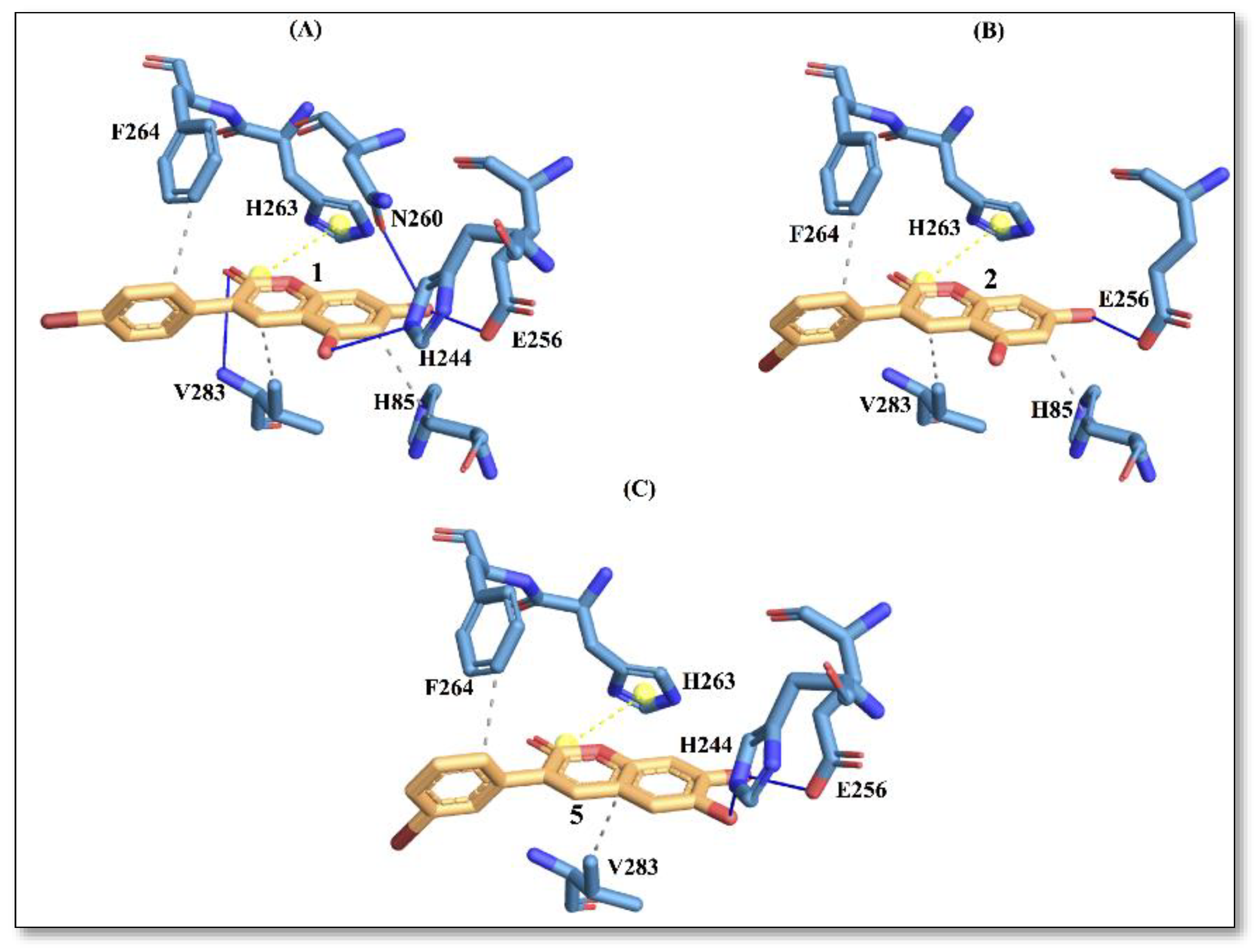 Molecules 27 06914 g004