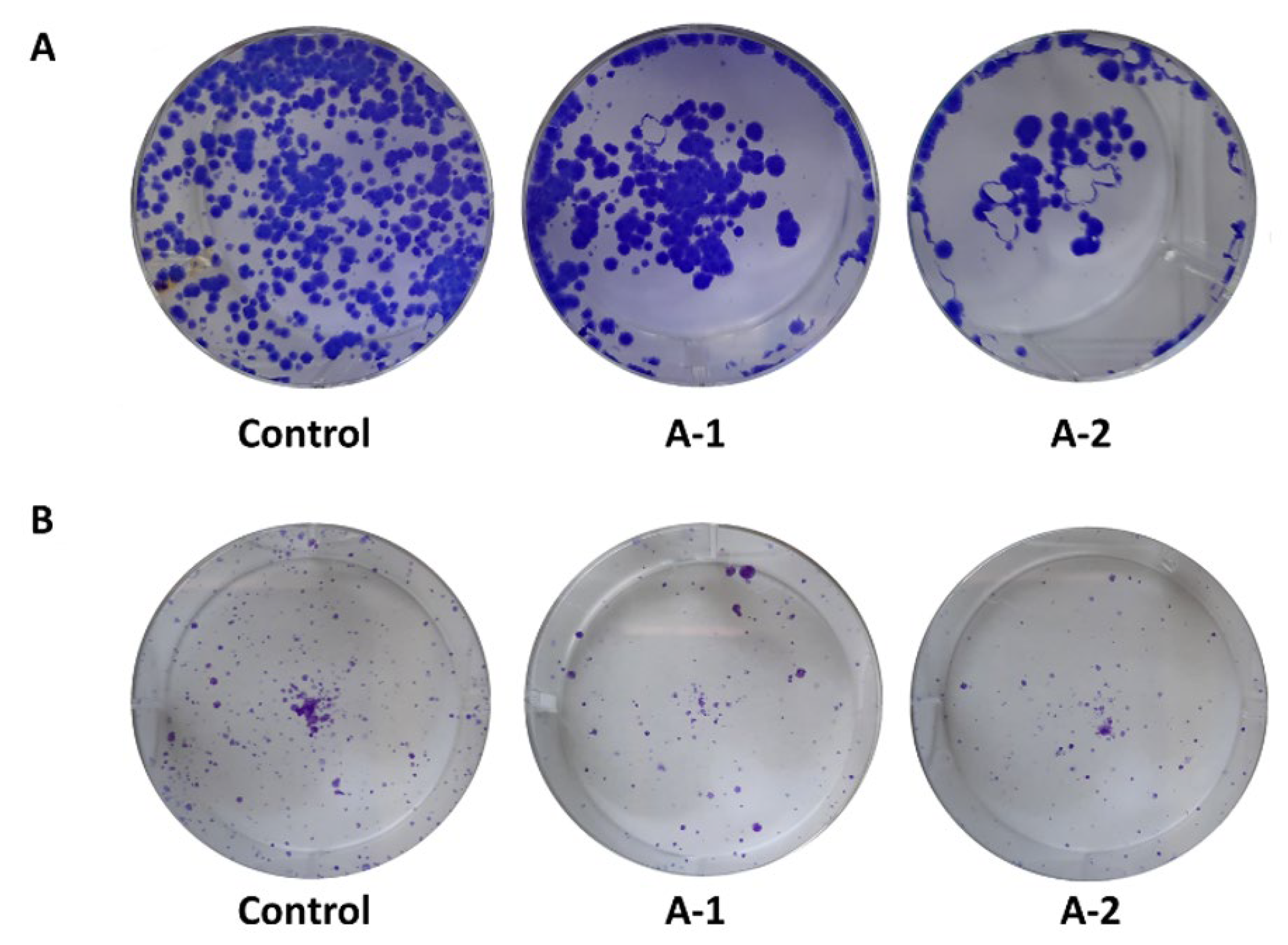 Molecules 27 06918 g005