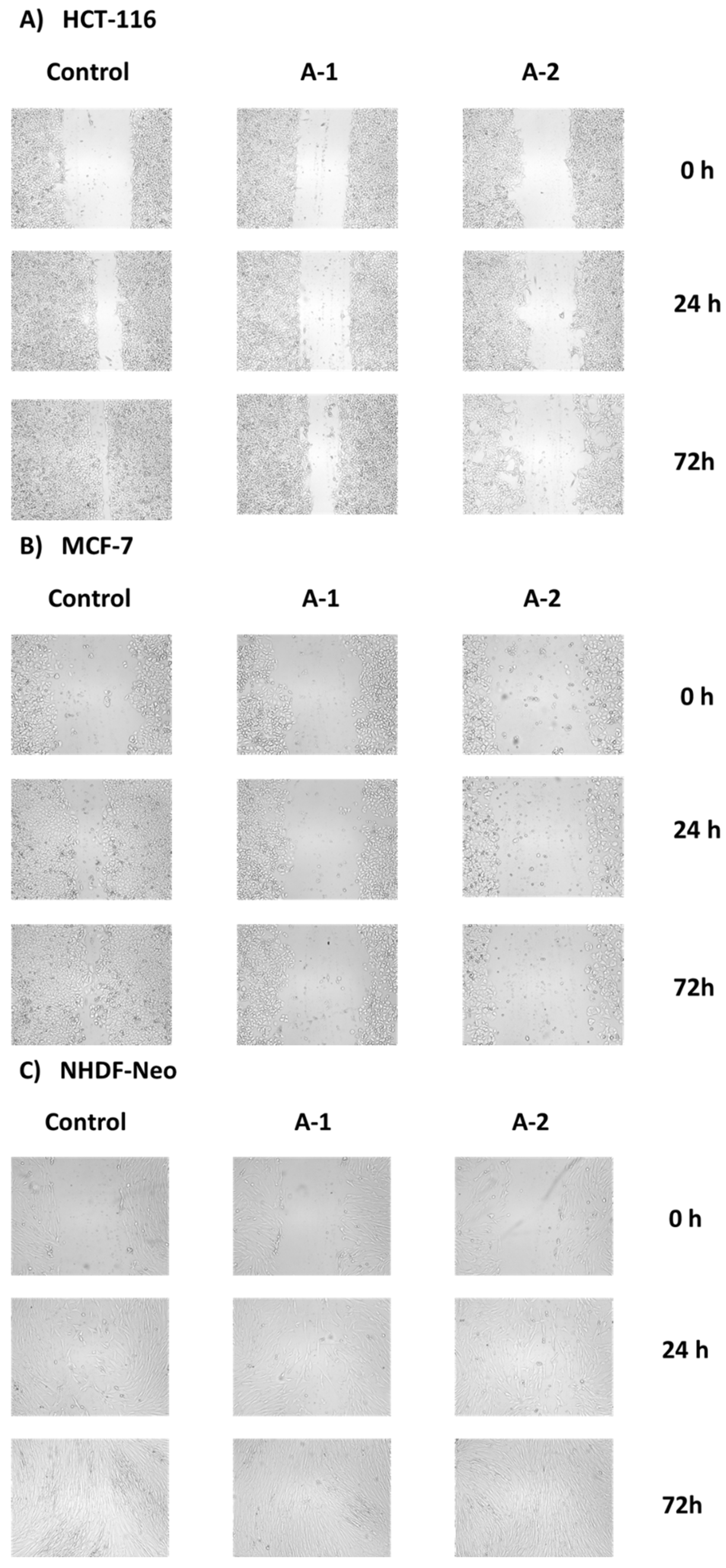 Molecules 27 06918 g006