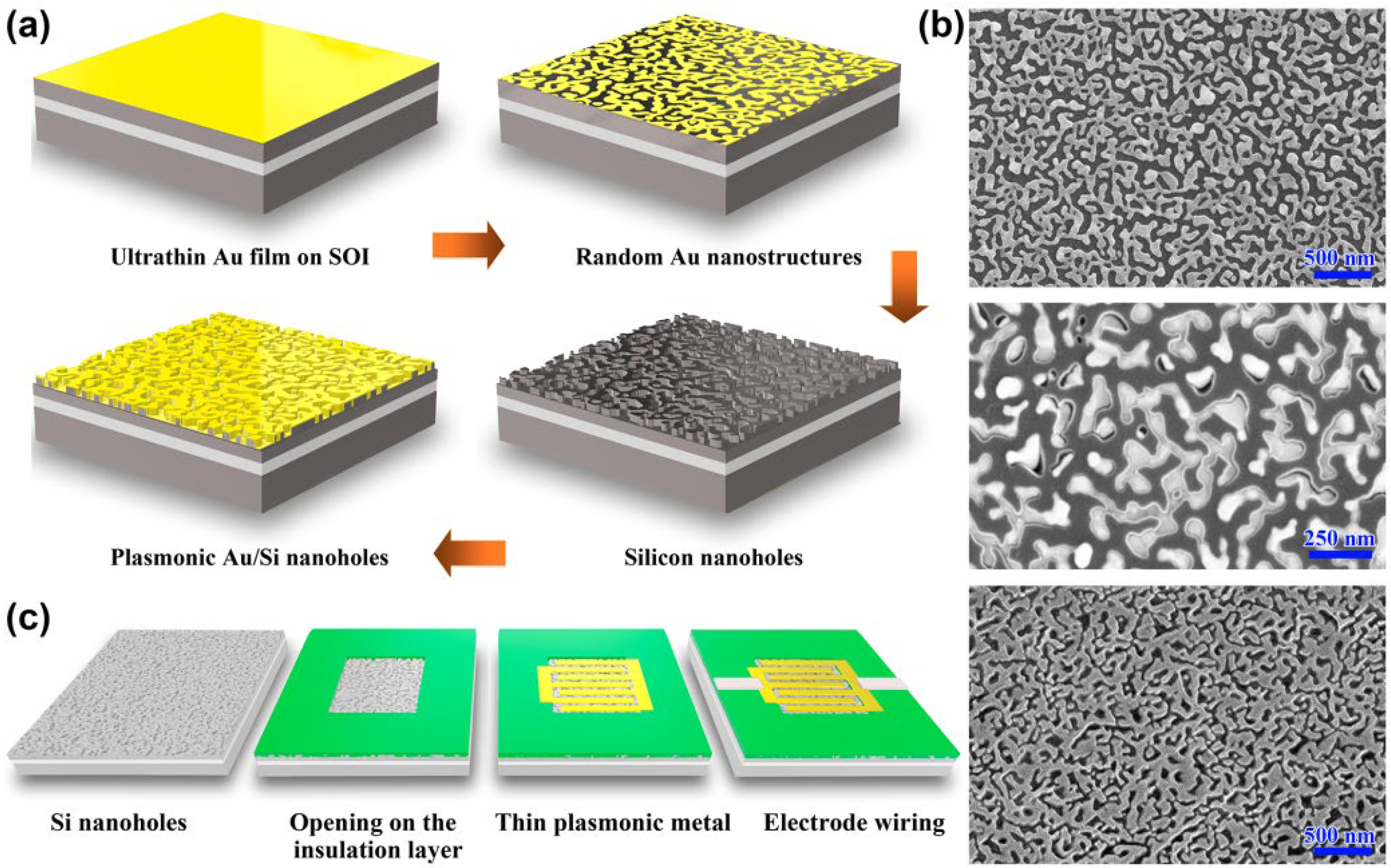 Molecules 27 06922 g002 Molecules 27 06922 g002