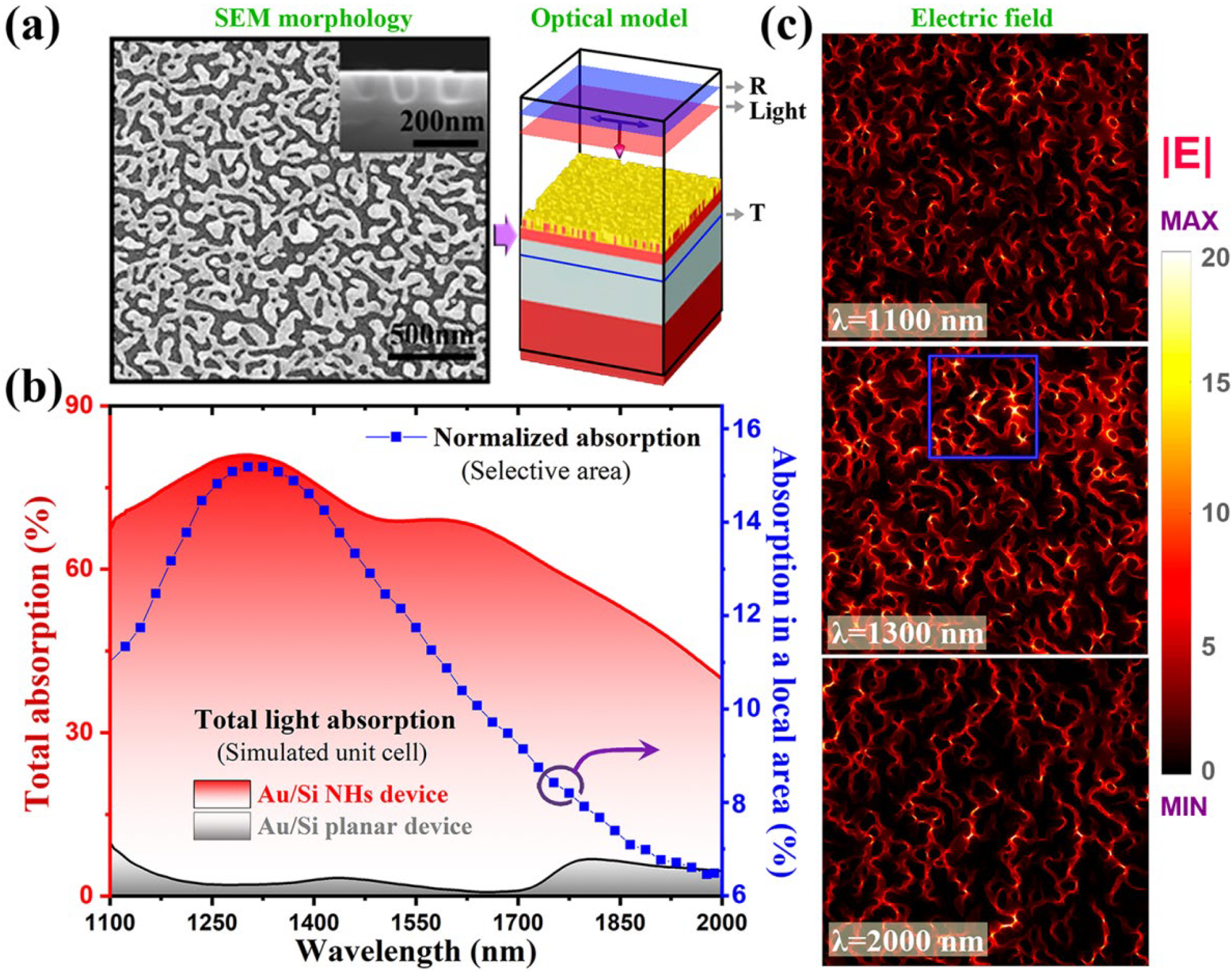 Molecules 27 06922 g003 Molecules 27 06922 g003