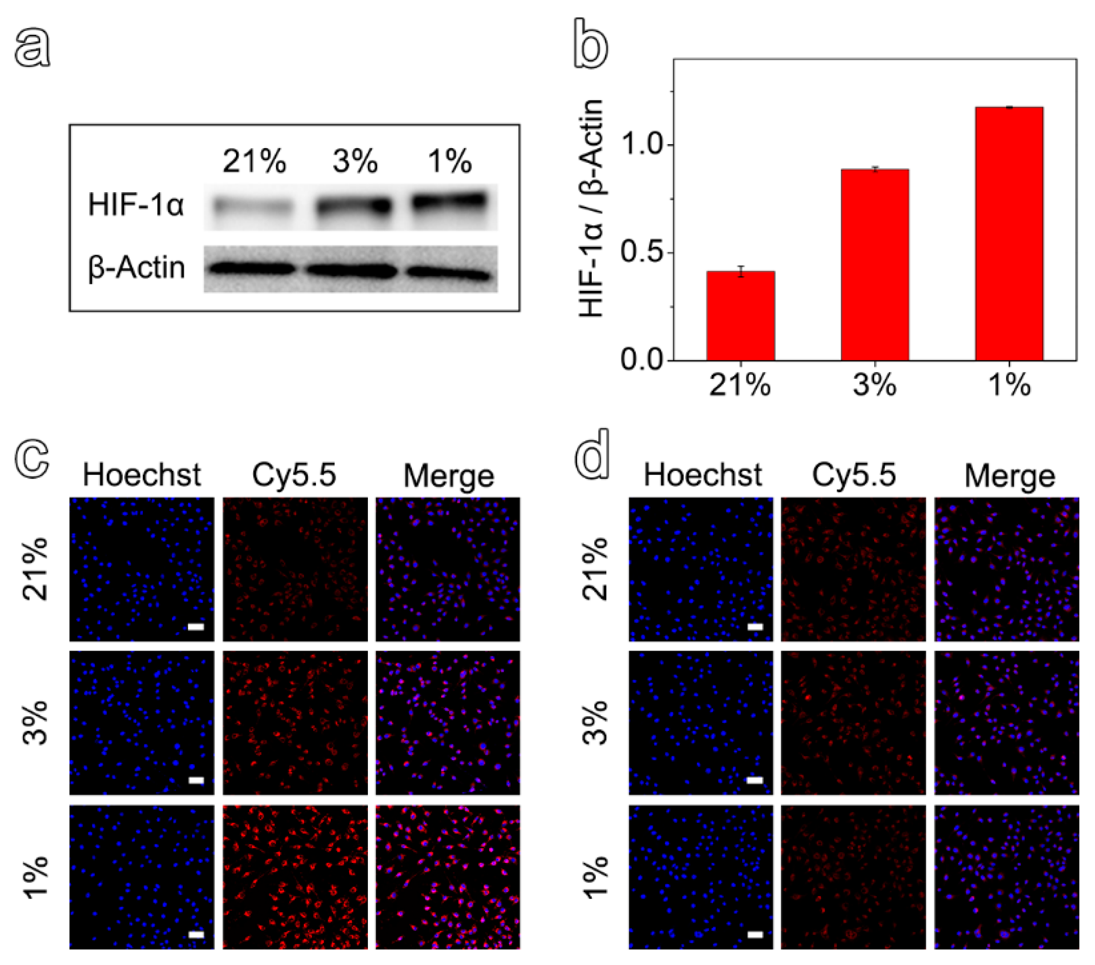 Molecules 27 06929 g002