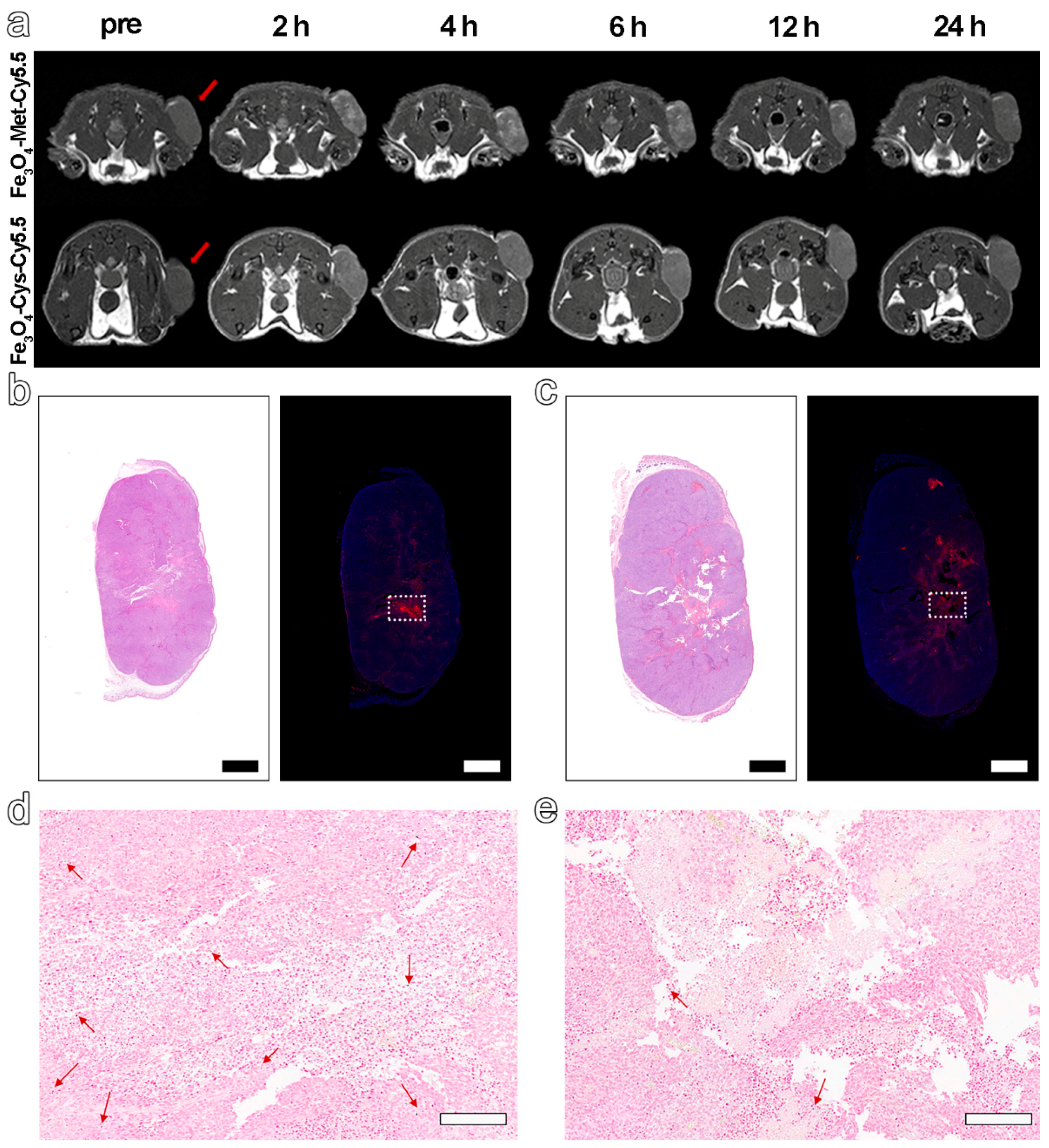 Molecules 27 06929 g004