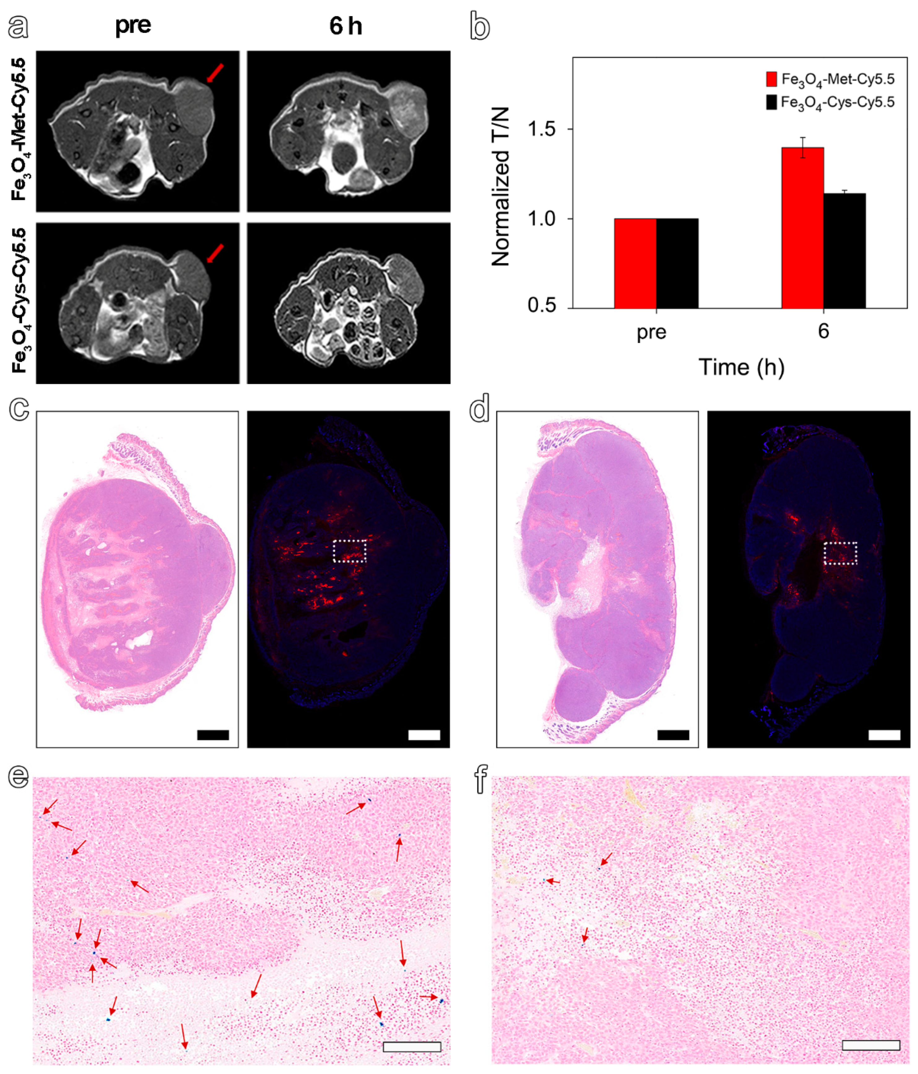 Molecules 27 06929 g005