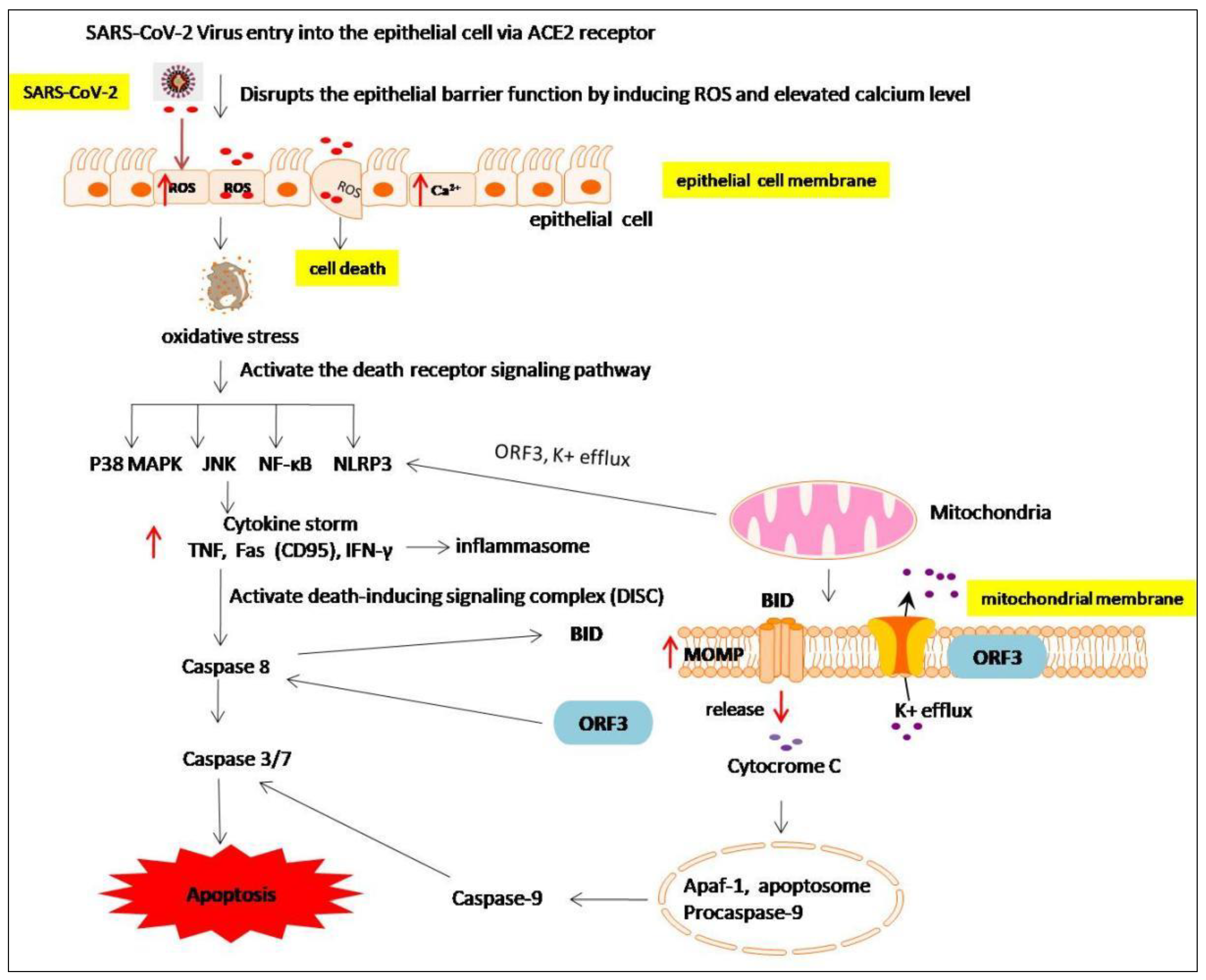 Molecules 27 06934 g013
