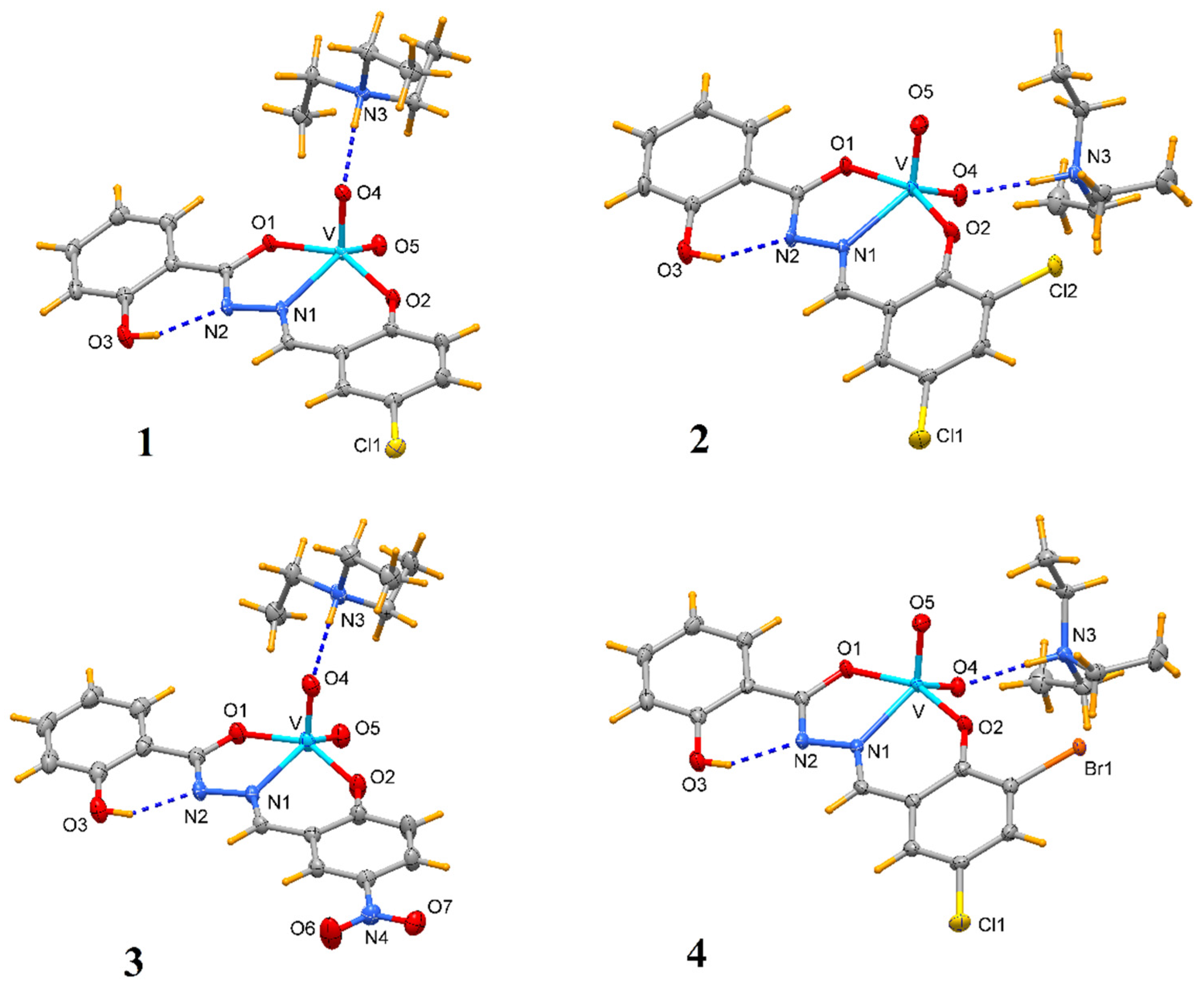 Molecules 27 06942 g001