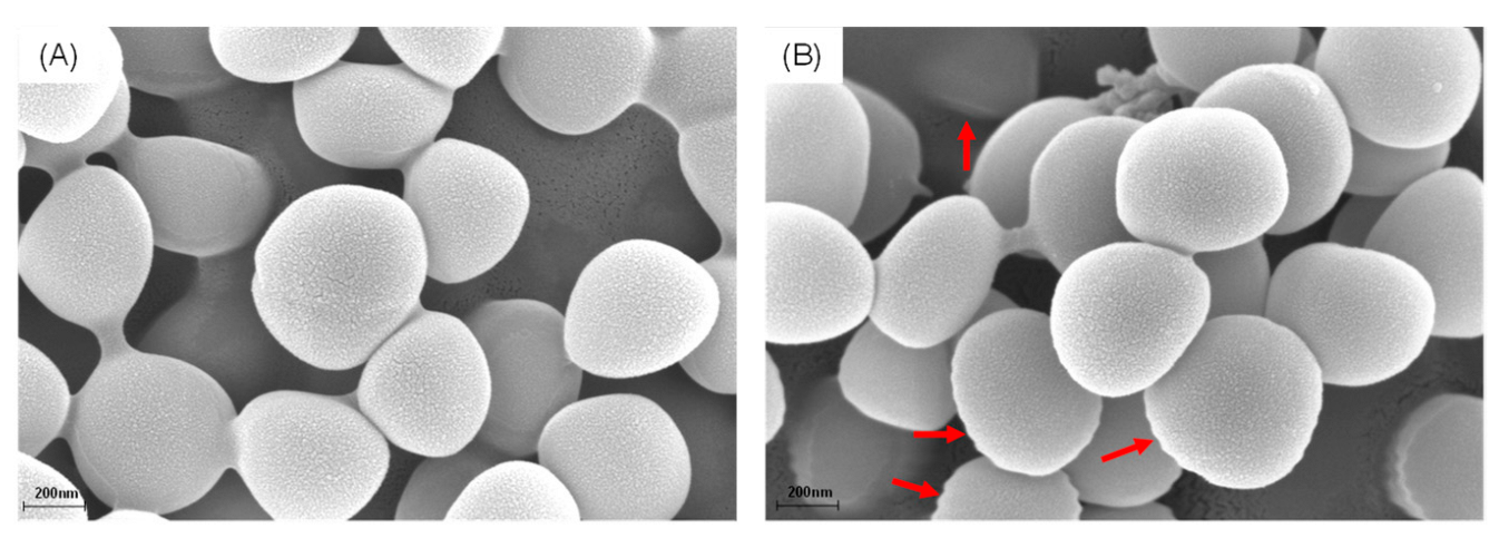Molecules 27 06952 g003 Molecules 27 06952 g003