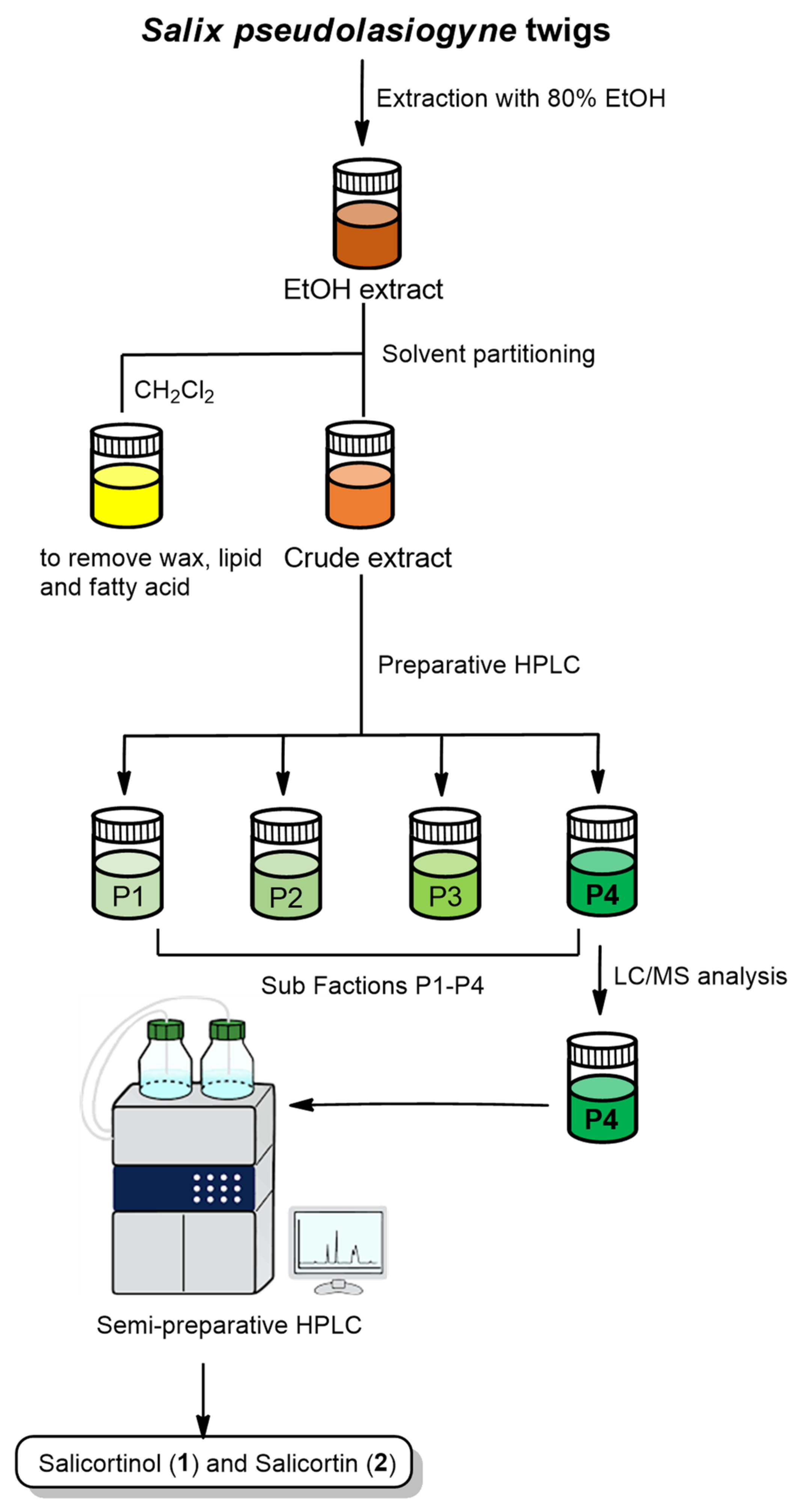 Molecules 27 06954 g001