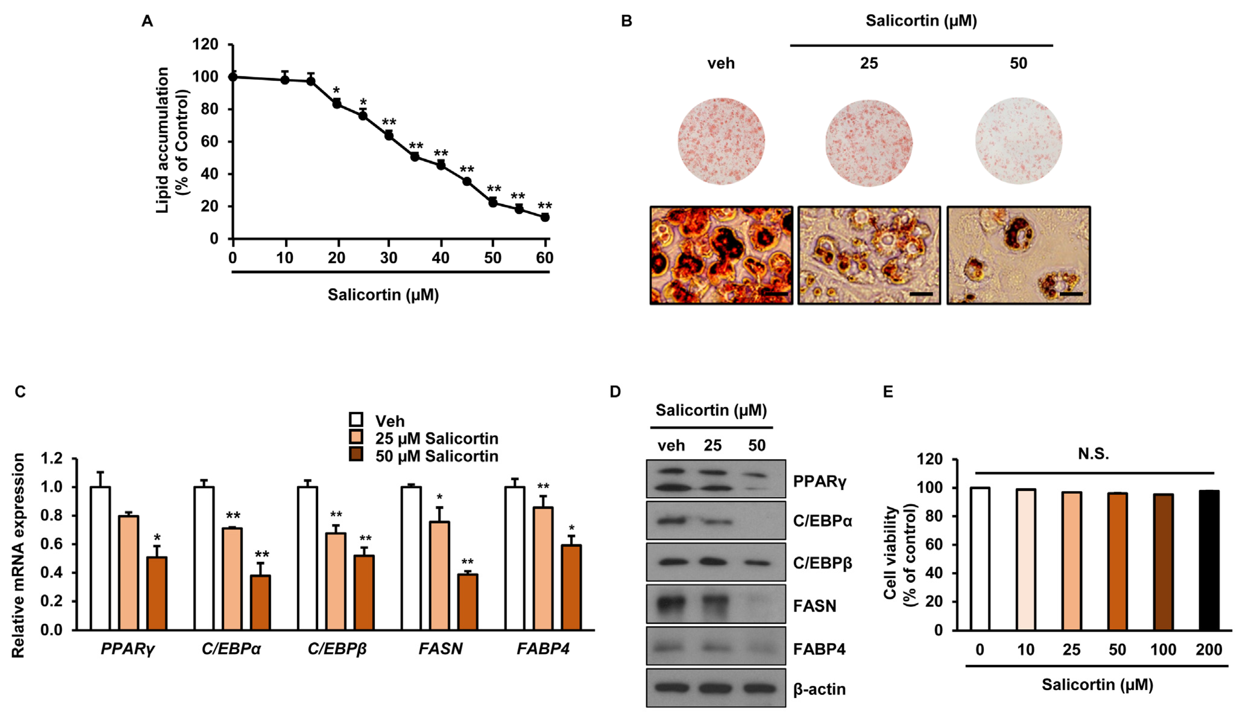 Molecules 27 06954 g004
