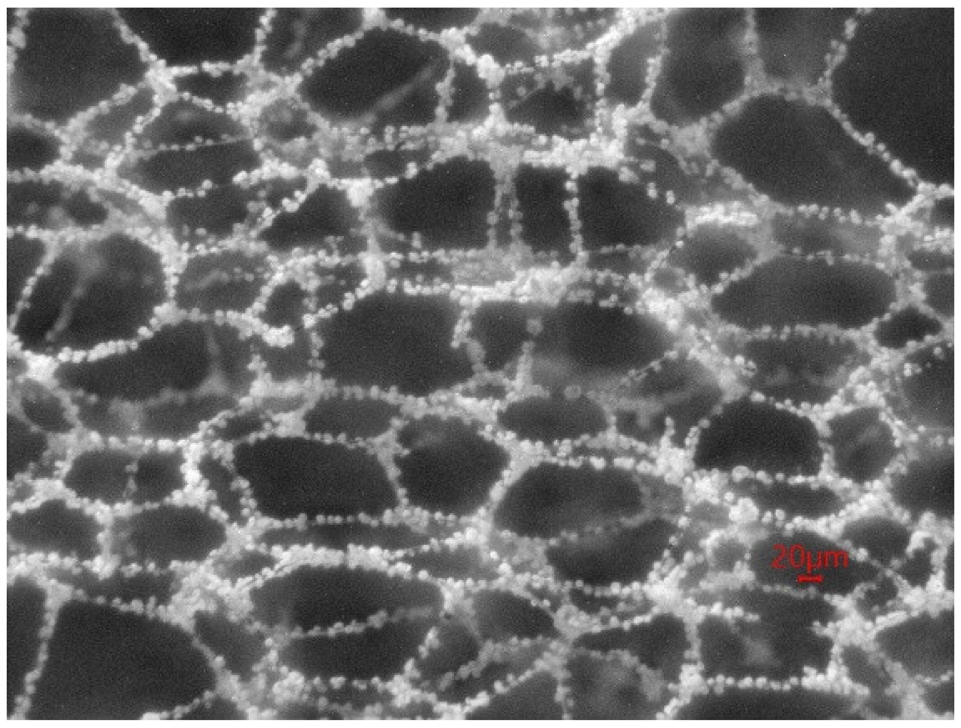 Molecules 27 06957 g009