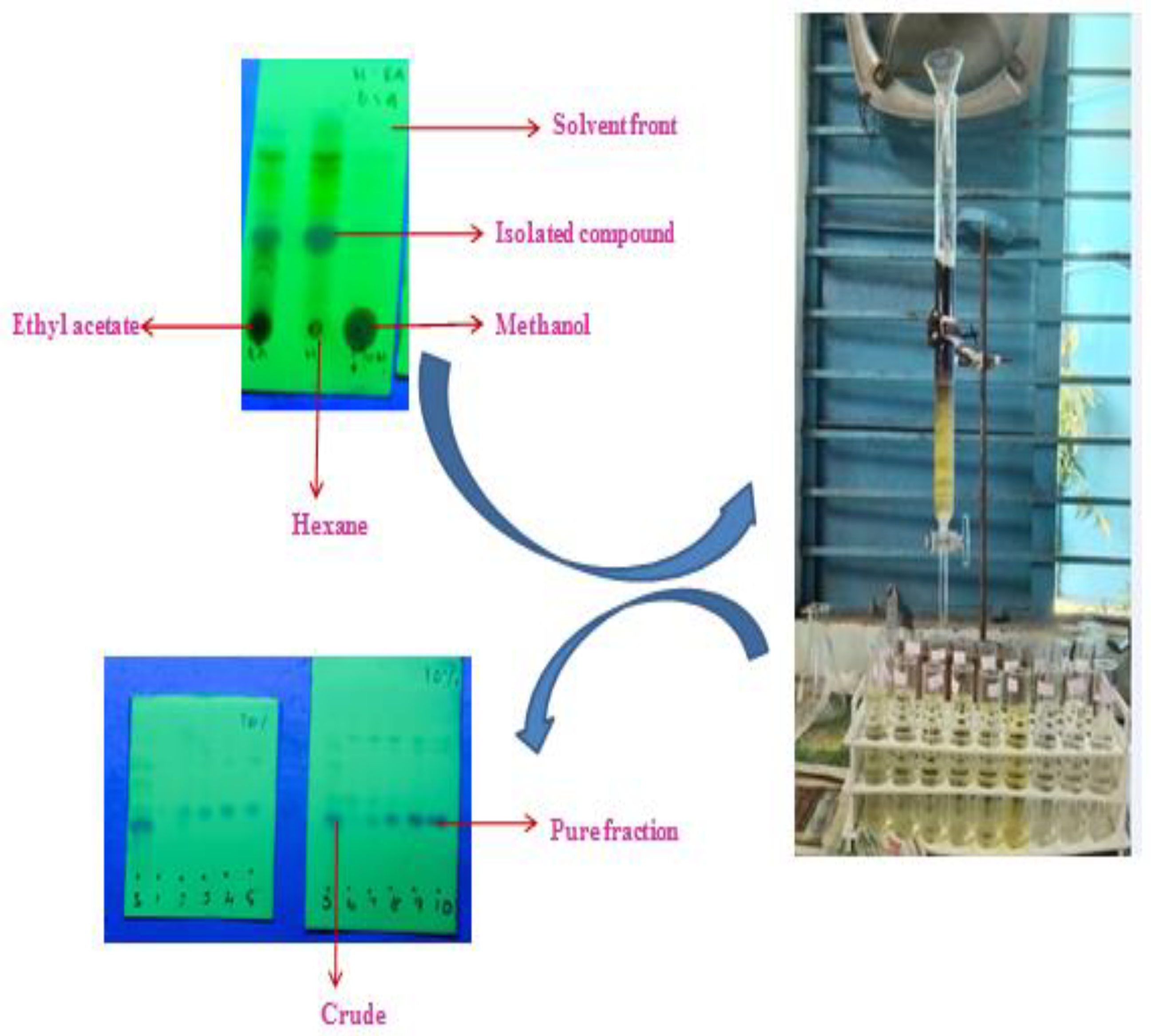 Molecules 27 06962 g001