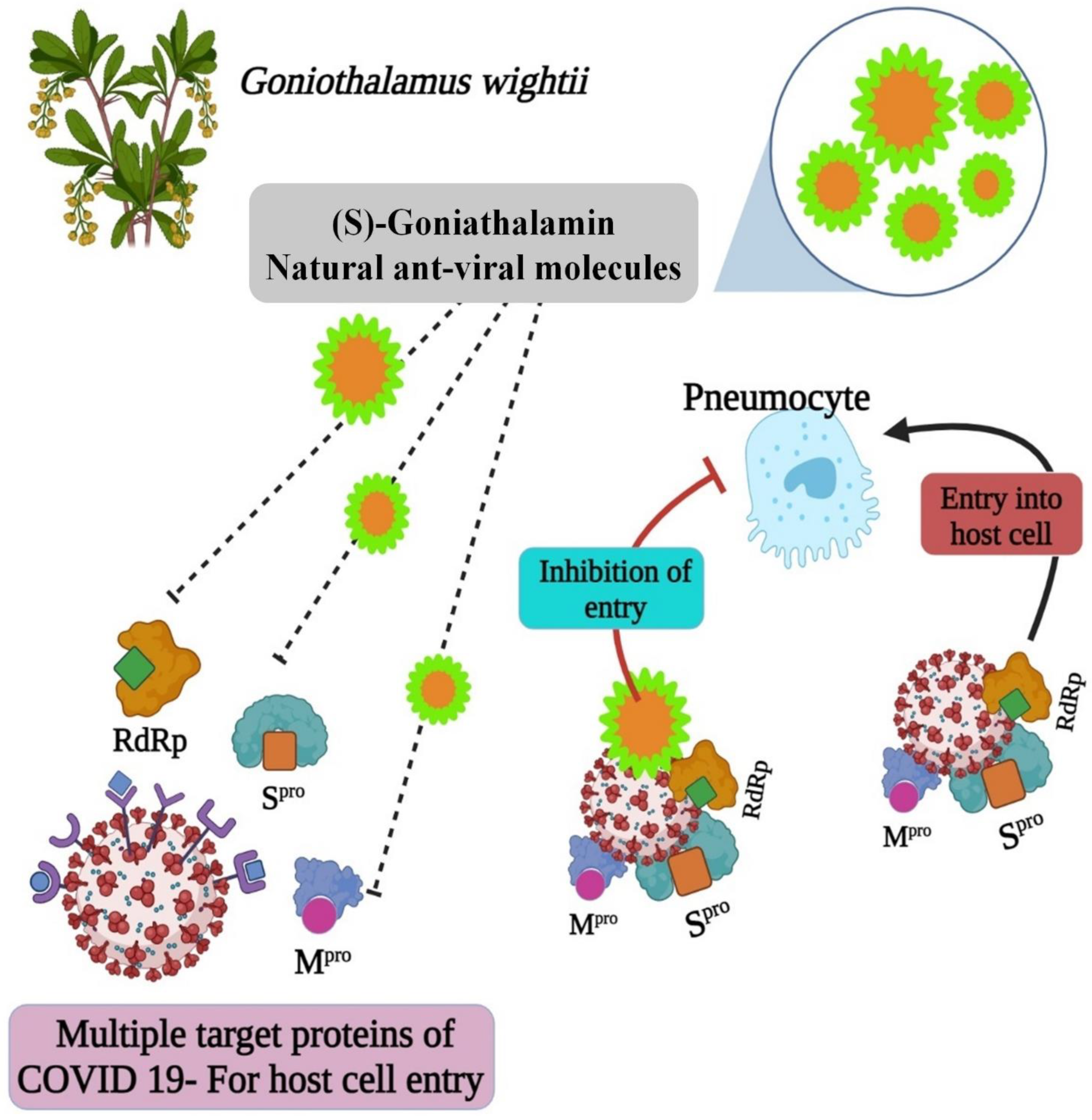 Molecules 27 06962 g012