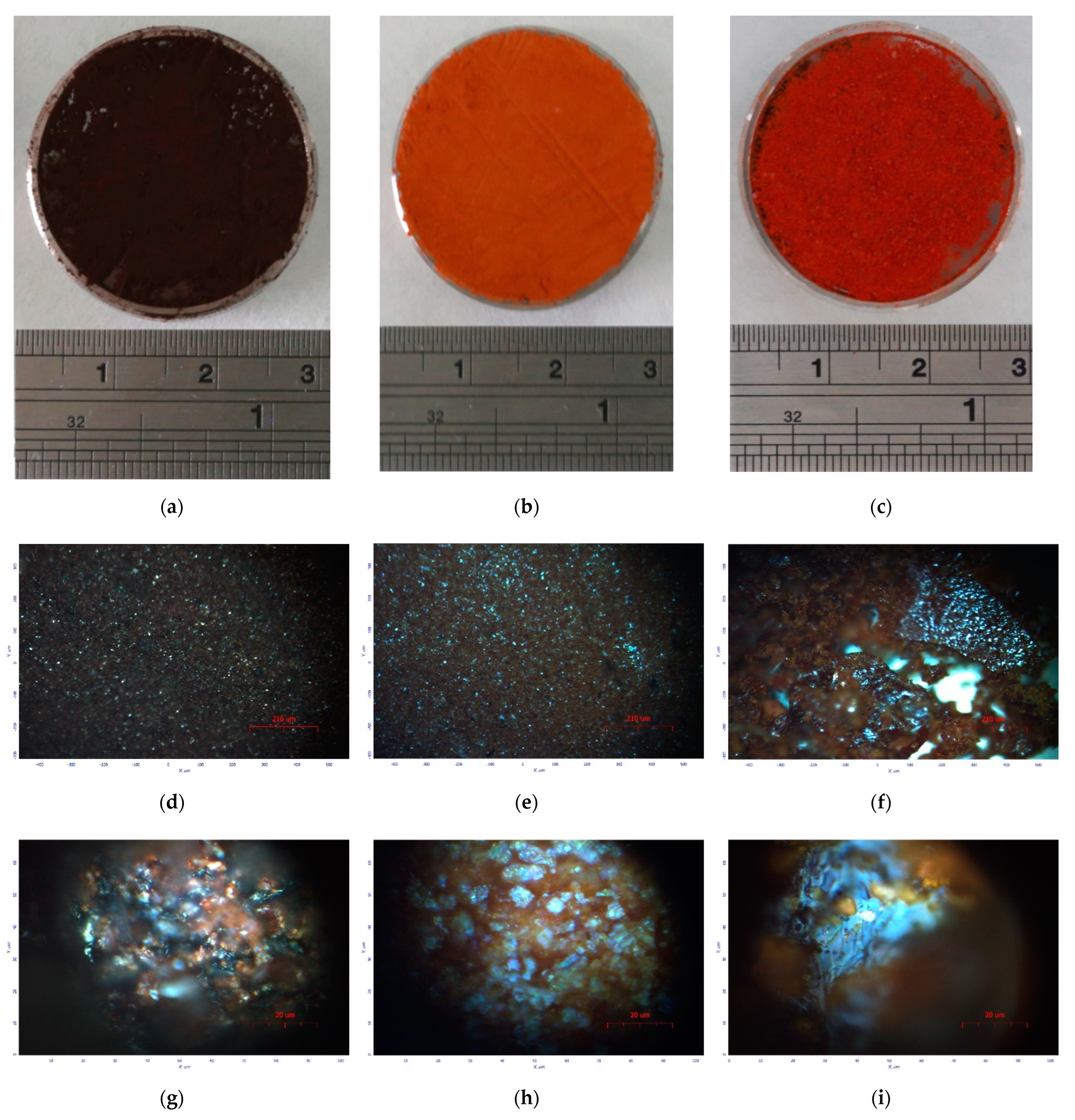 Molecules 27 06966 g002