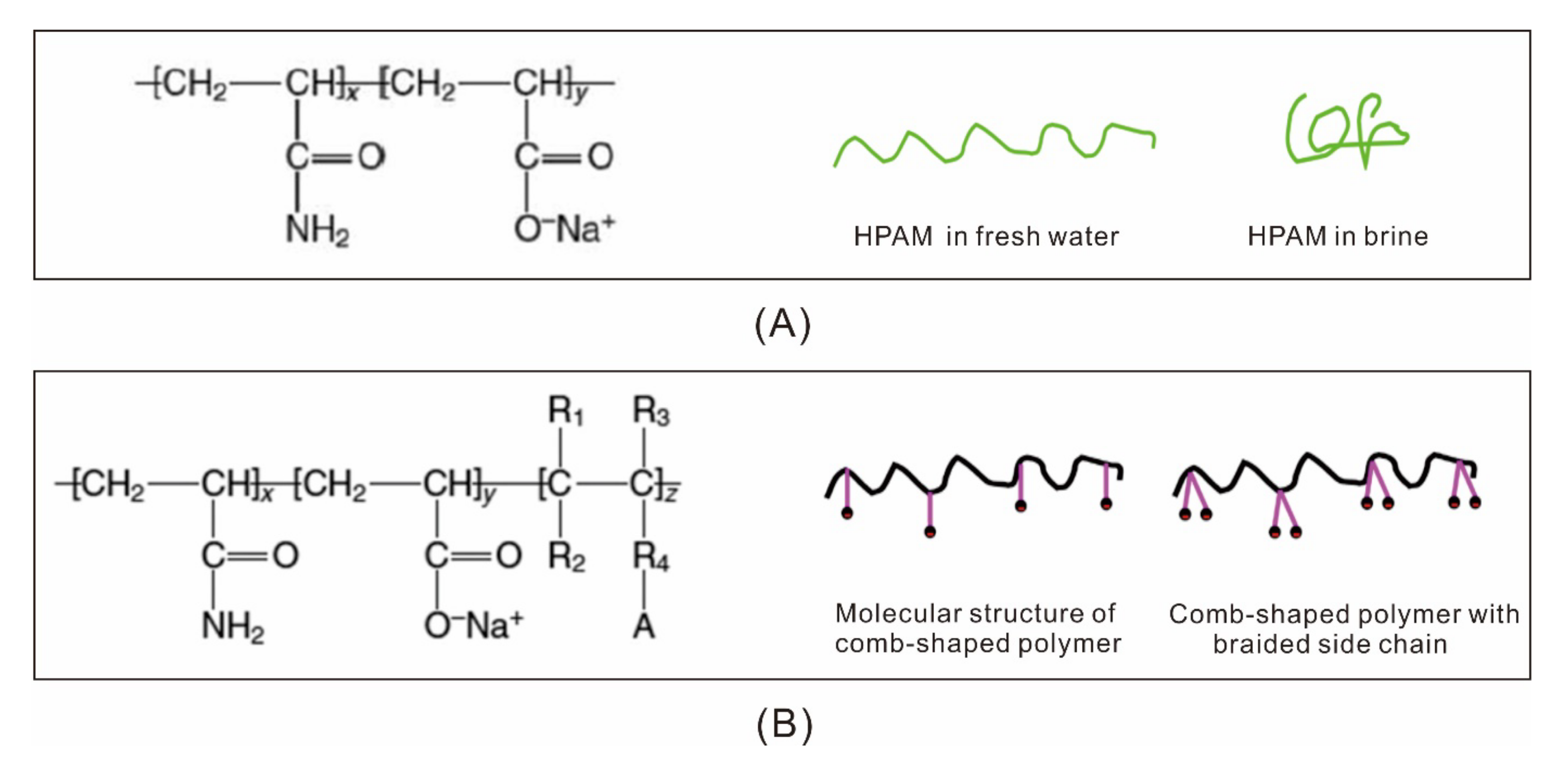Molecules 27 06978 g008