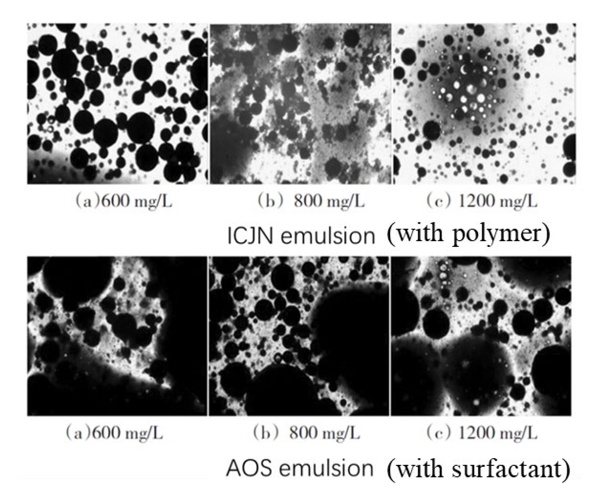 Molecules 27 06978 g010