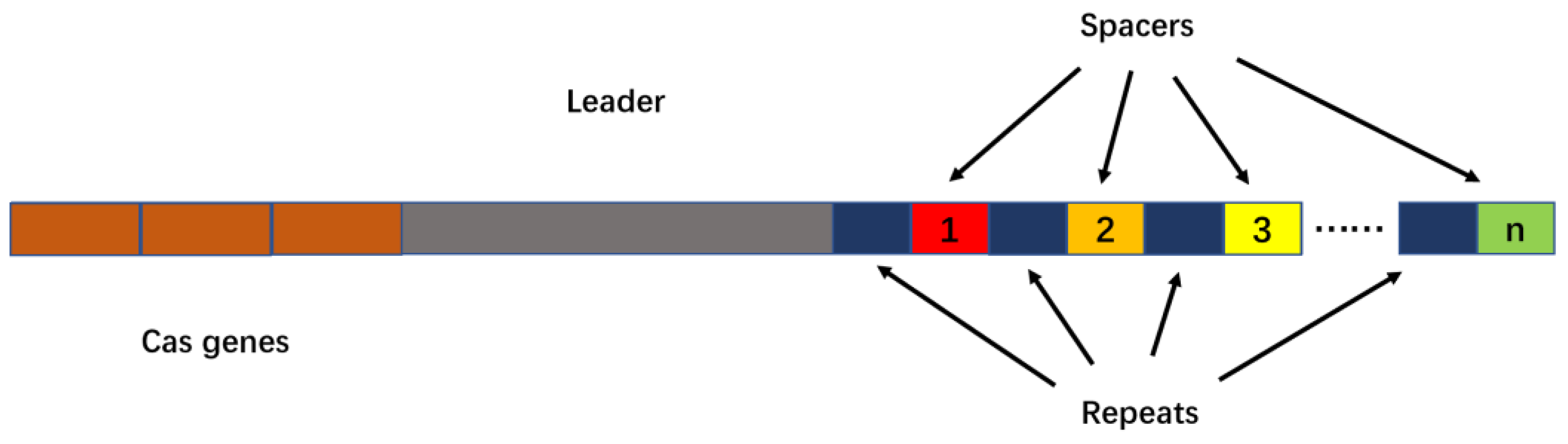 Molecules 27 06999 g001