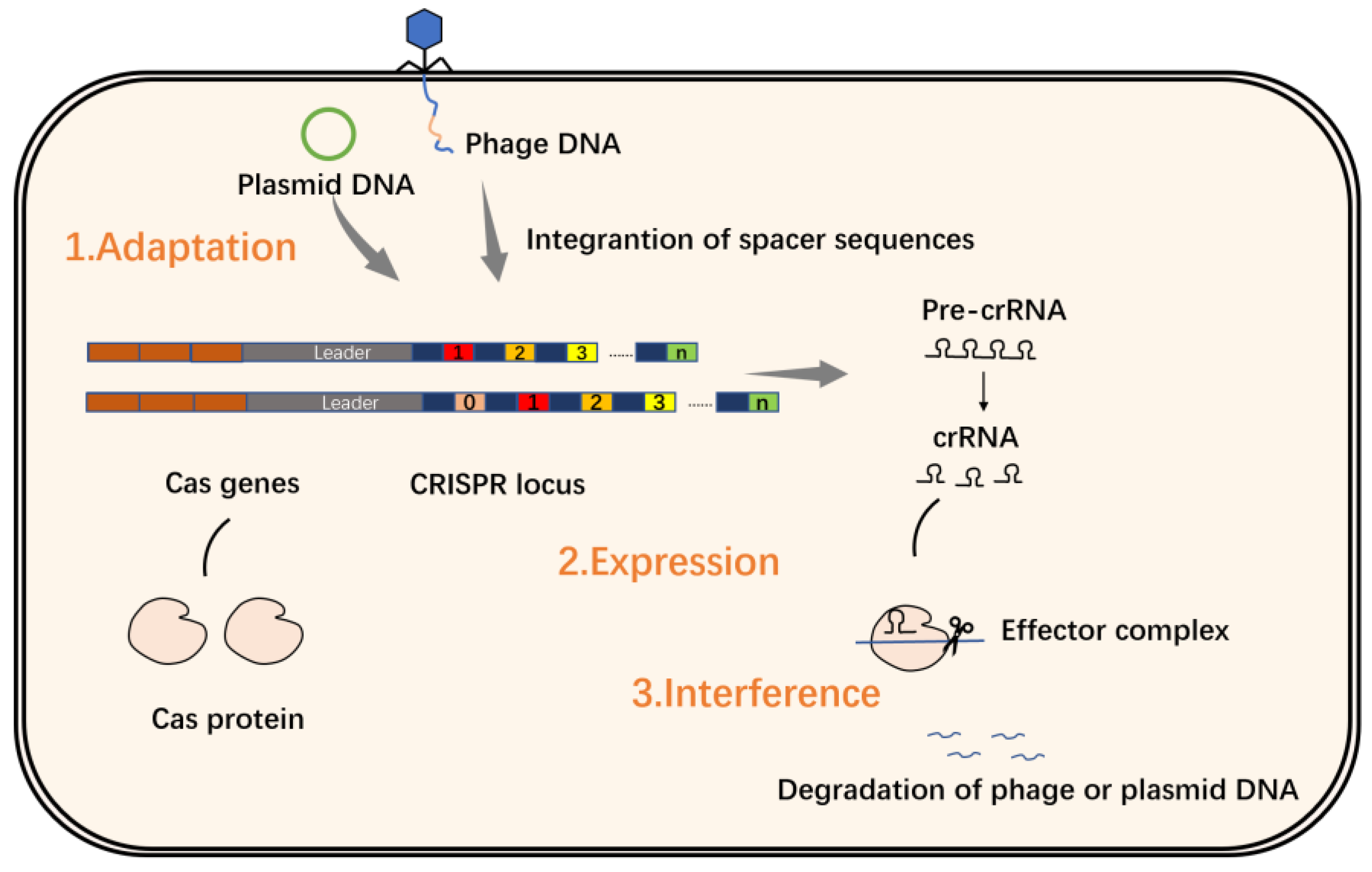 Molecules 27 06999 g002