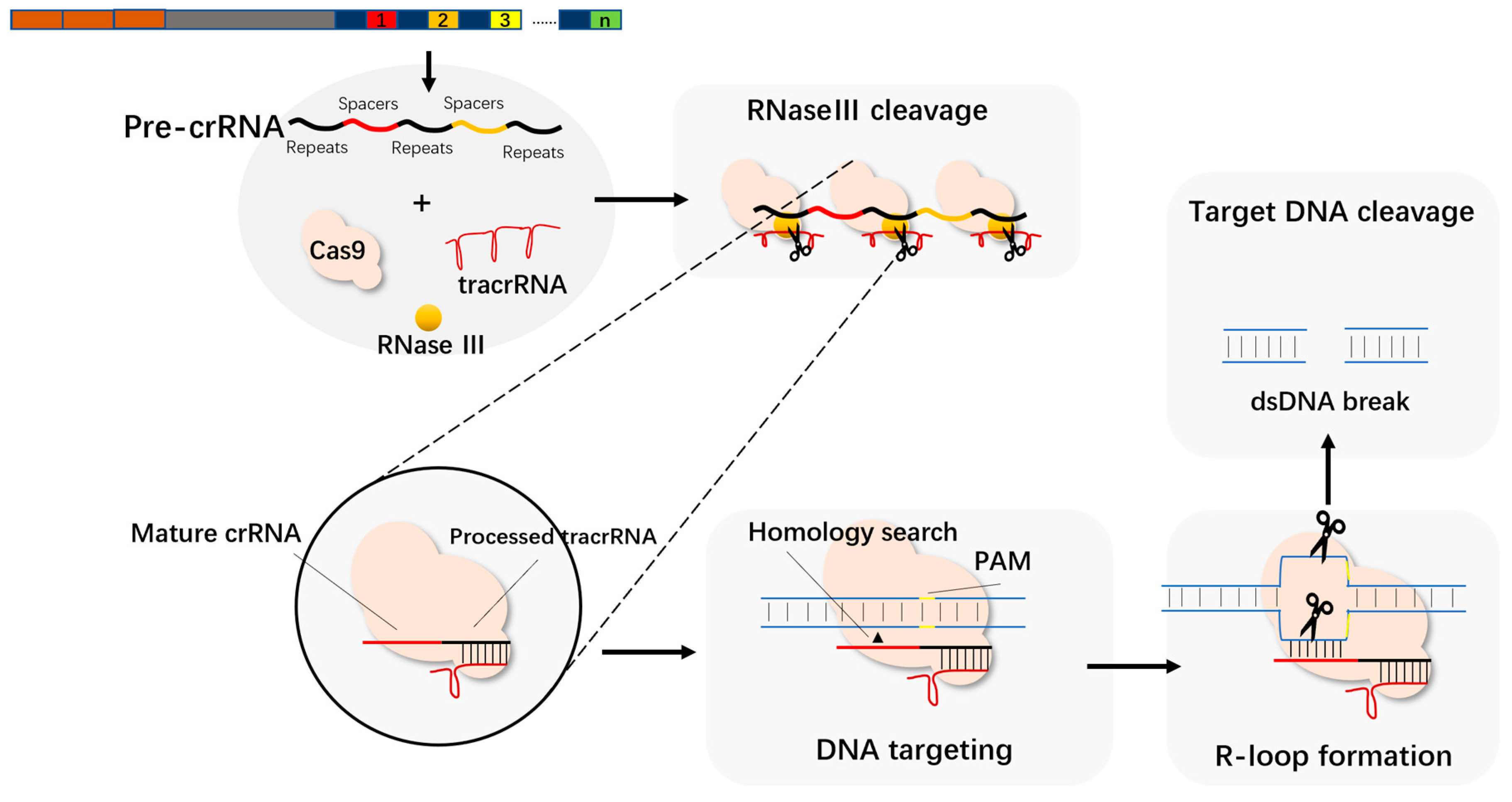 Molecules 27 06999 g003