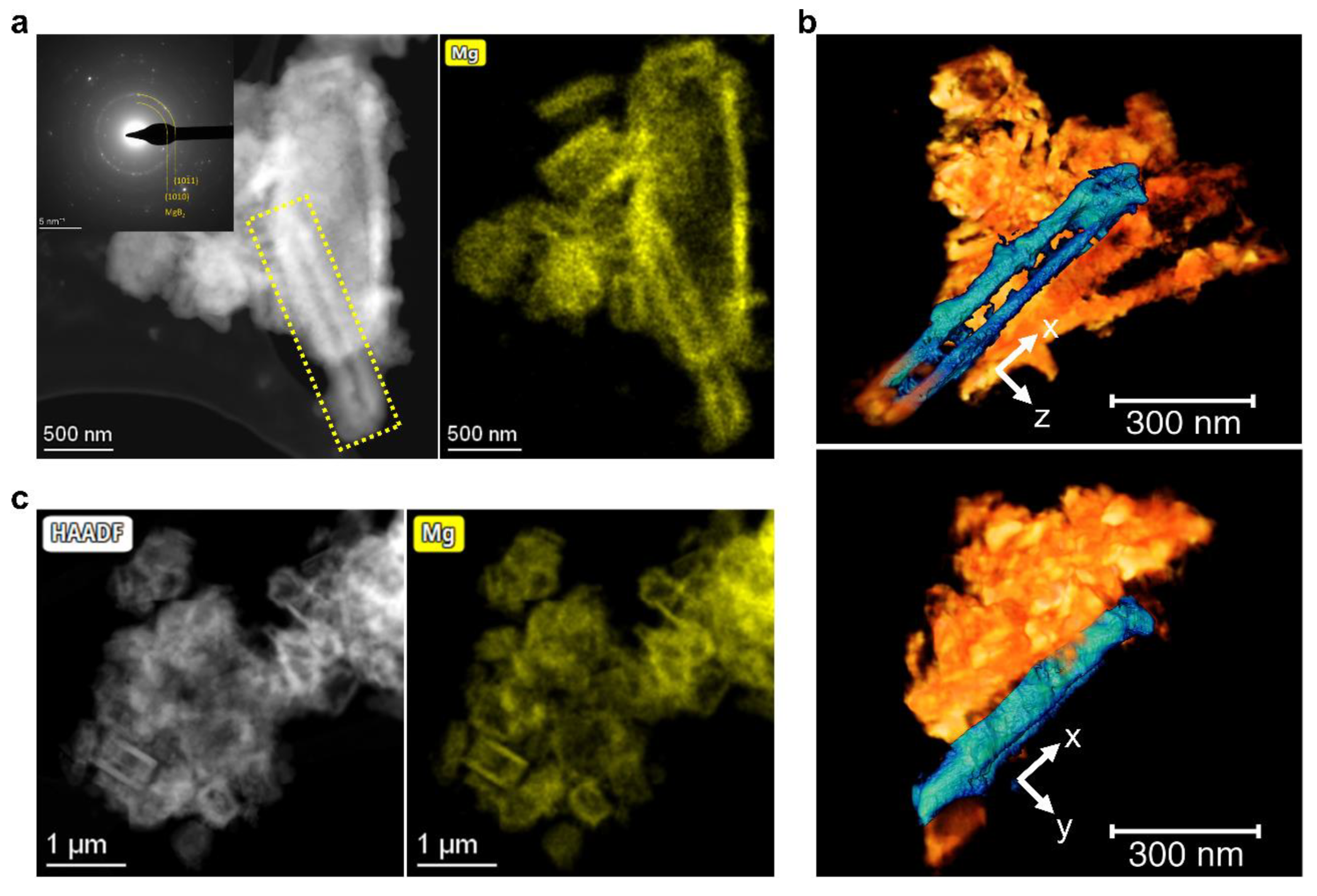 Molecules 27 07005 g004