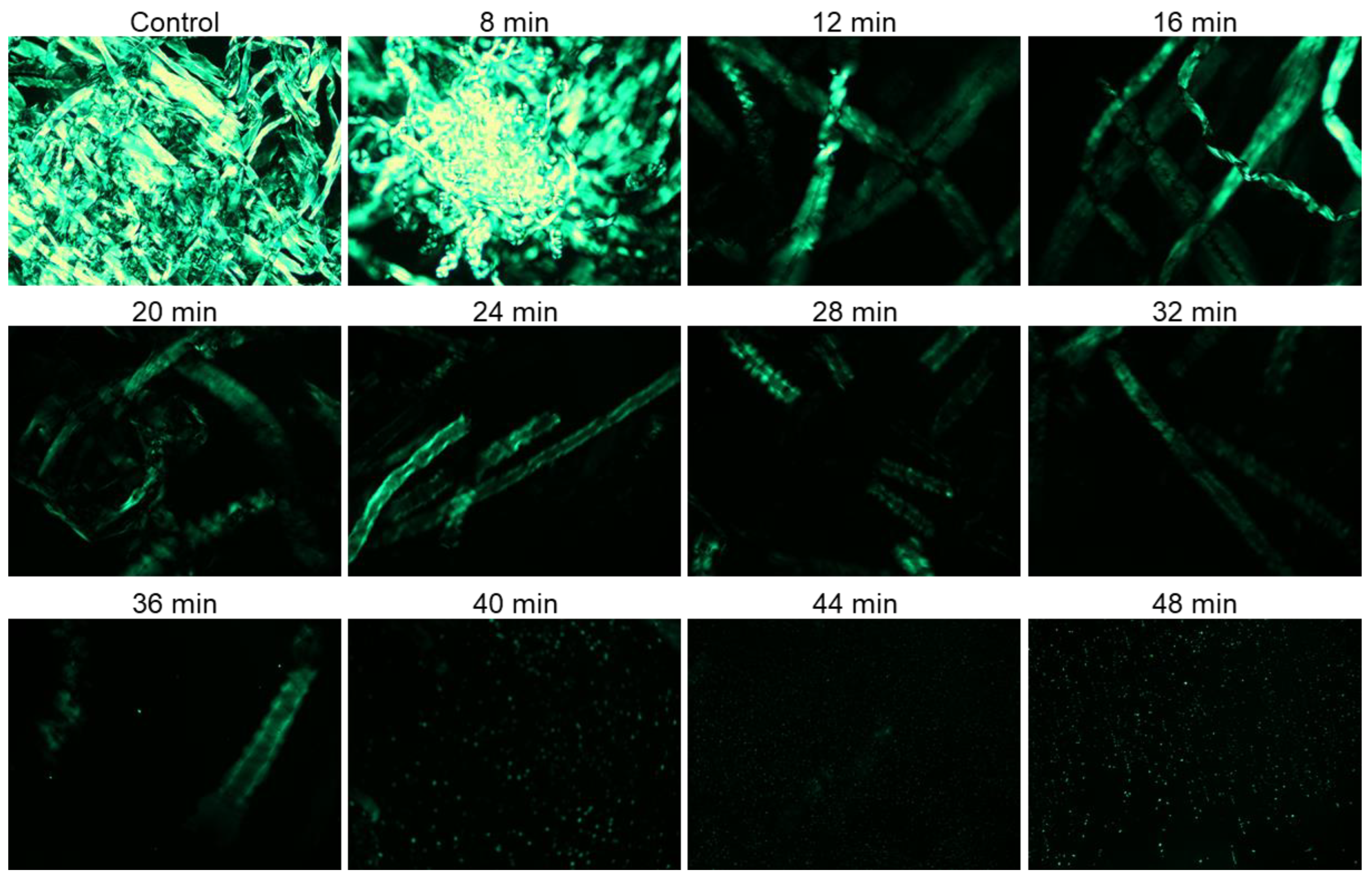 Molecules 27 07007 g001 Molecules 27 07007 g001