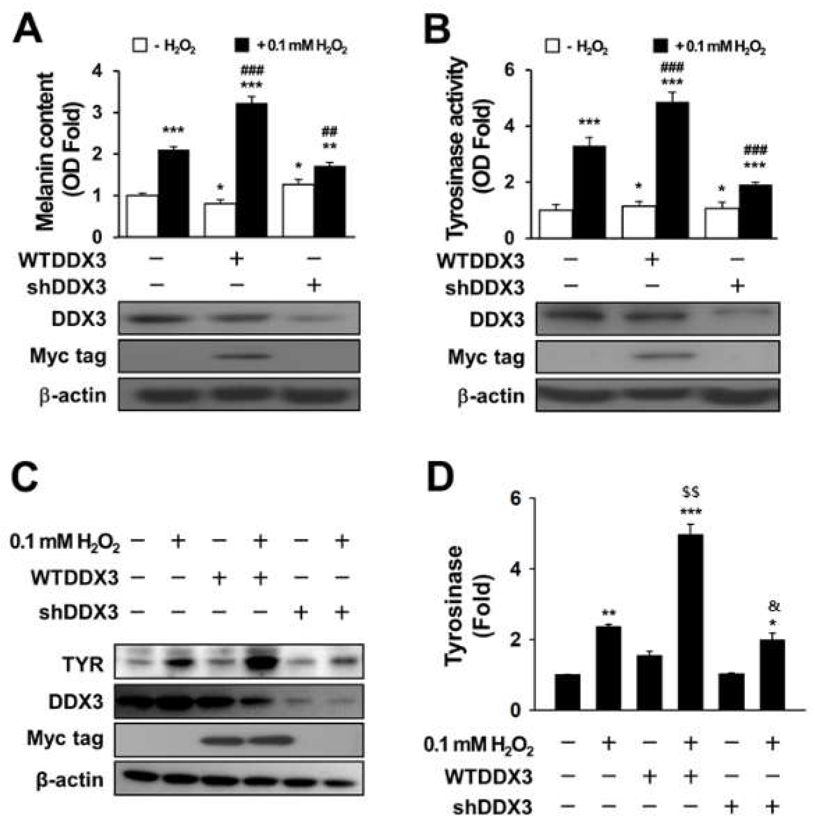 Molecules 27 07010 g002