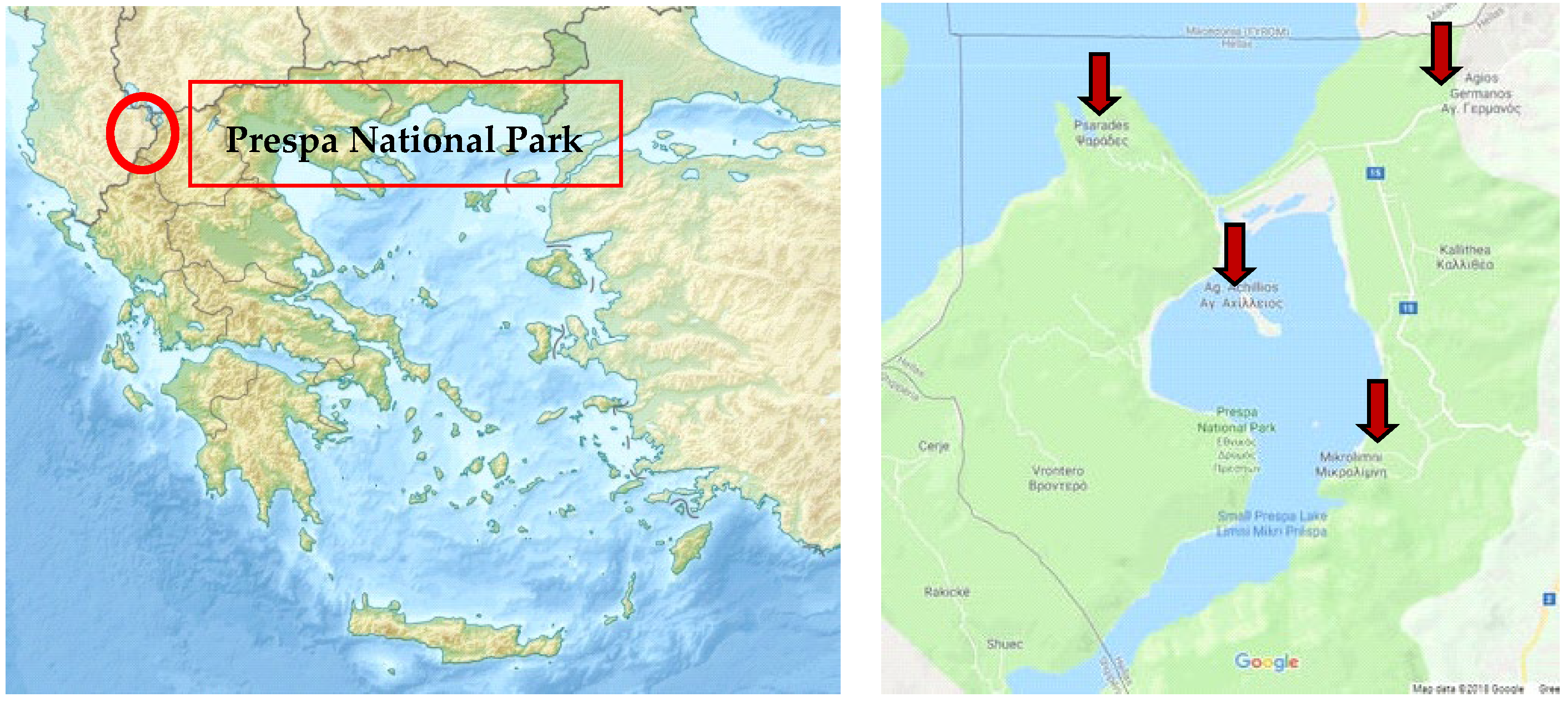 Molecules 27 07018 g001
