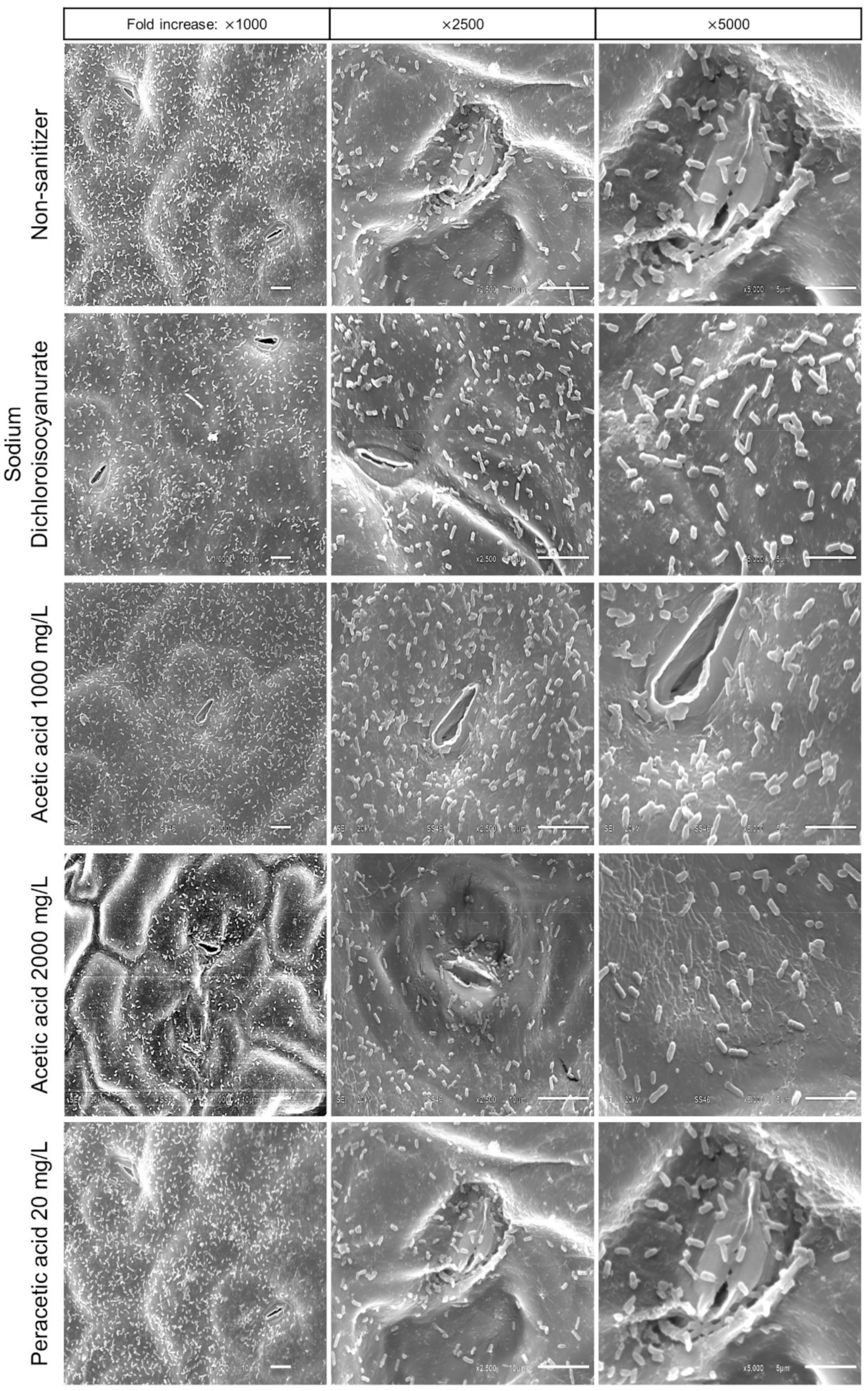 Molecules 27 07019 g003