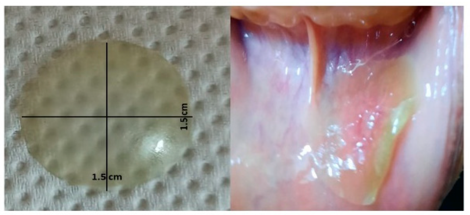 Molecules 27 07020 g009