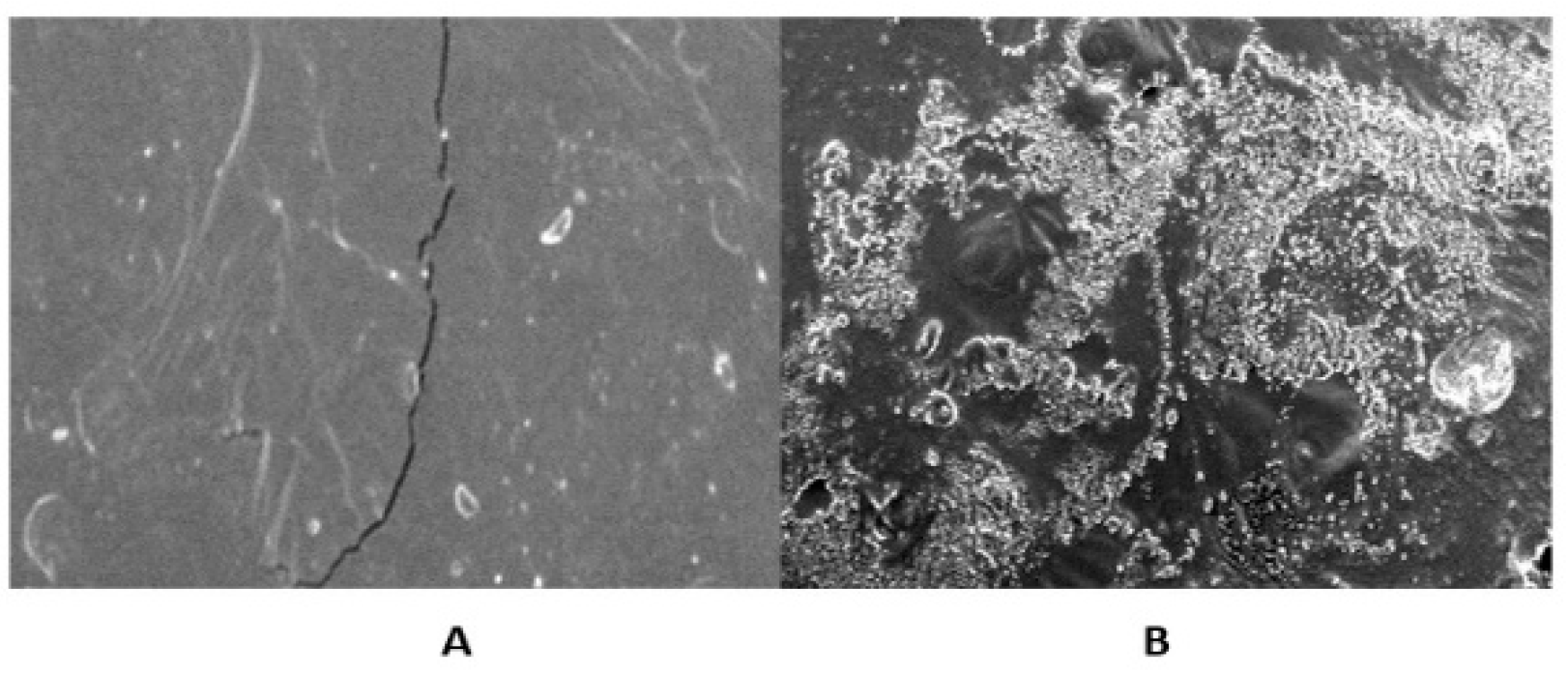 Molecules 27 07020 g010