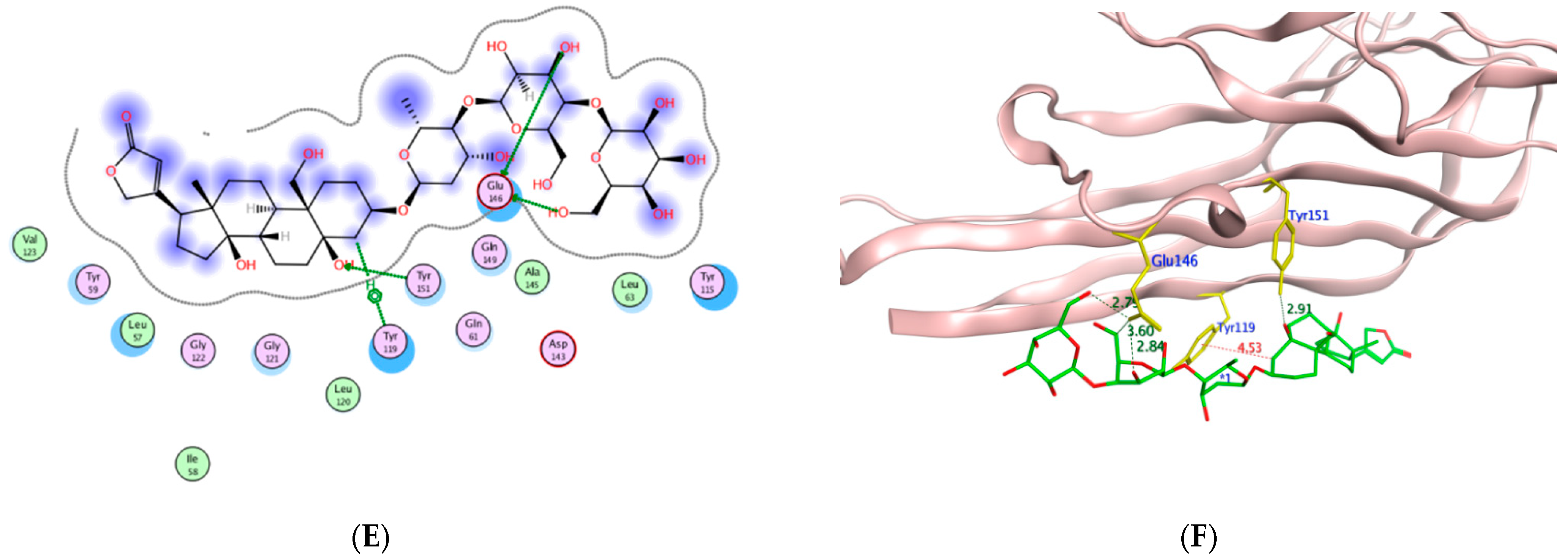 Molecules 27 07020 g012b