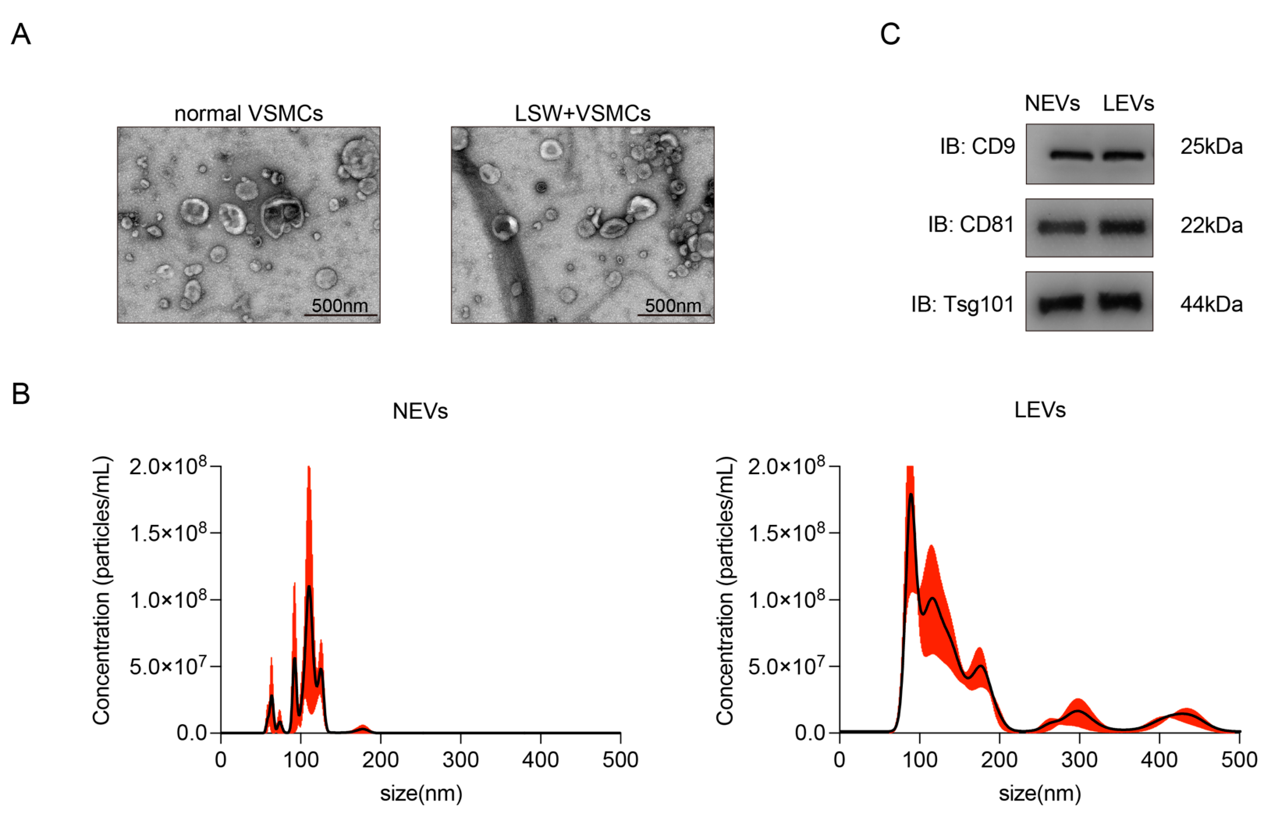 Molecules 27 07025 g002 Molecules 27 07025 g002