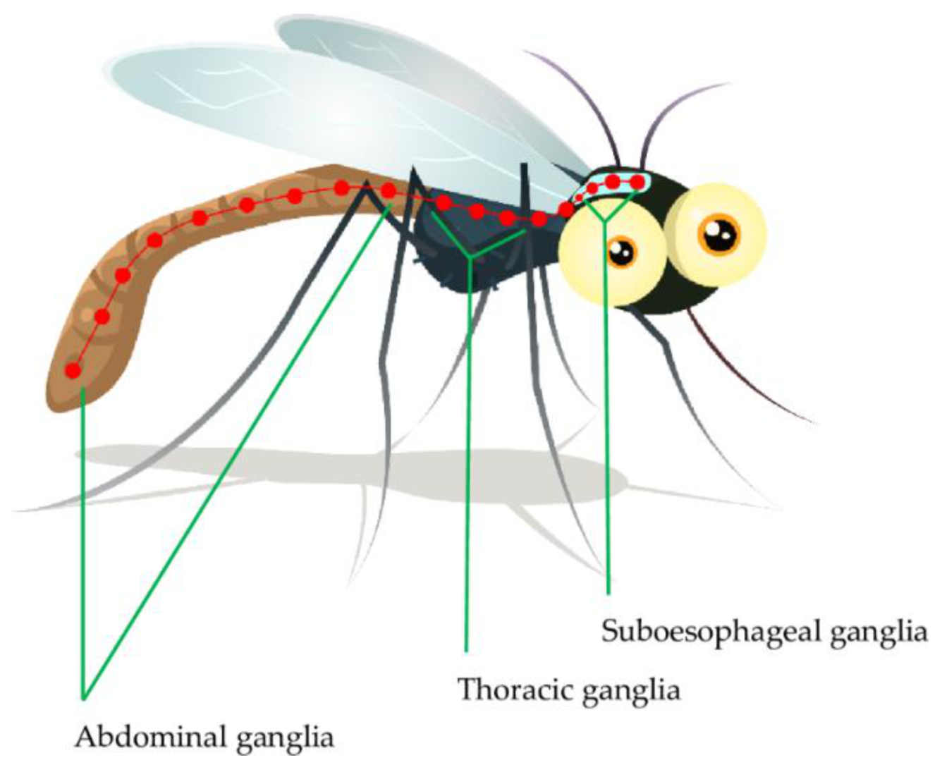 Molecules 27 07026 g001