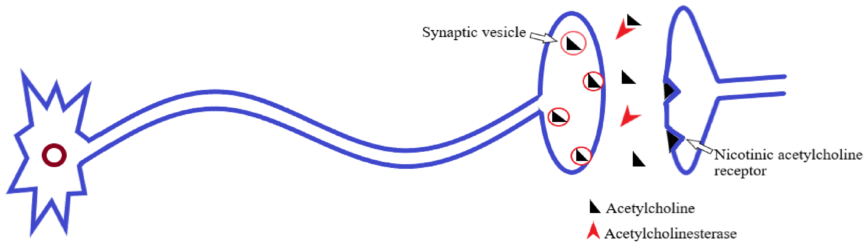 Molecules 27 07026 g002
