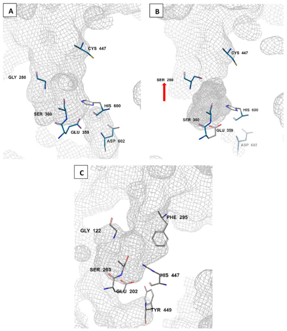 Molecules 27 07026 g003