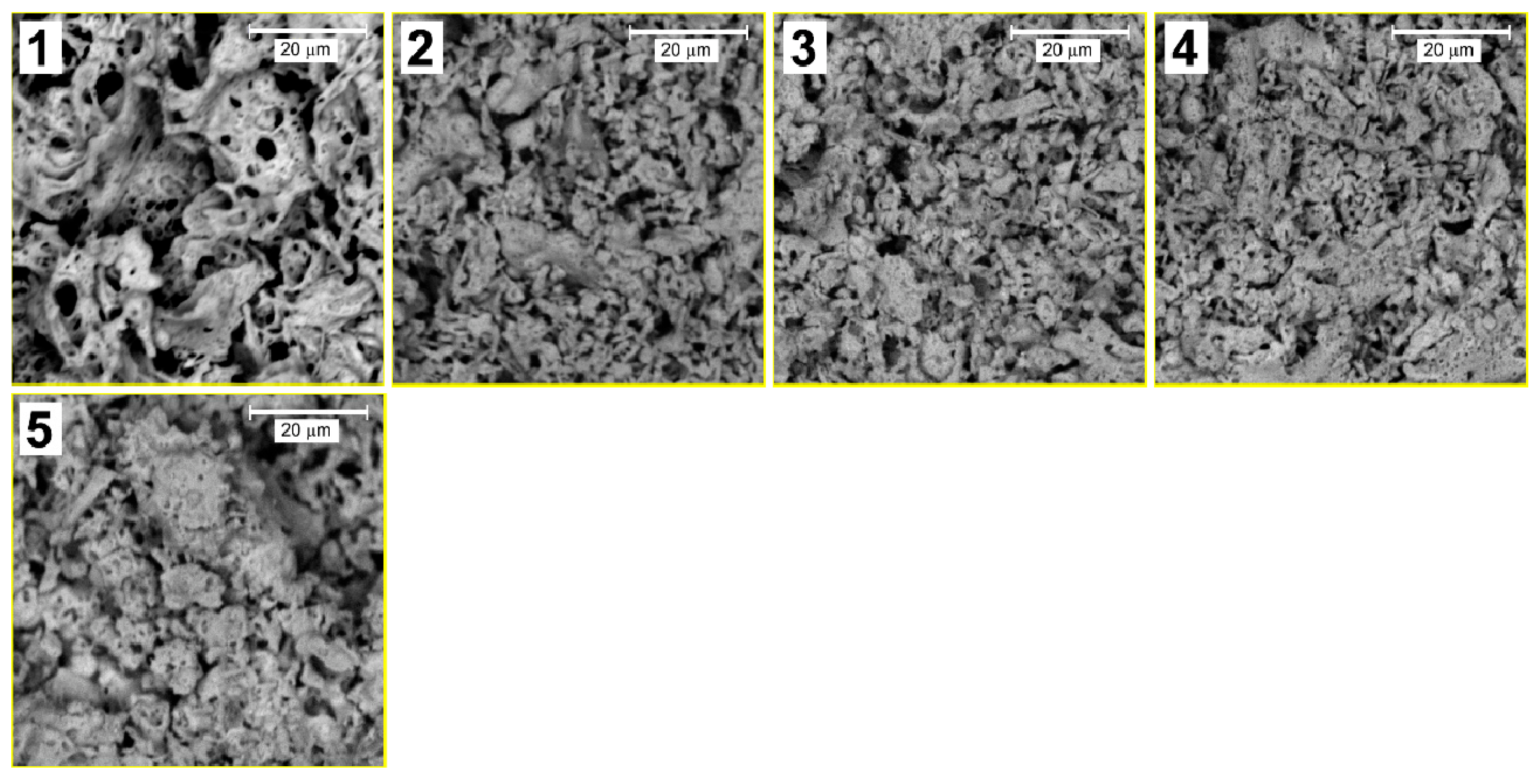 Molecules 27 07029 g002