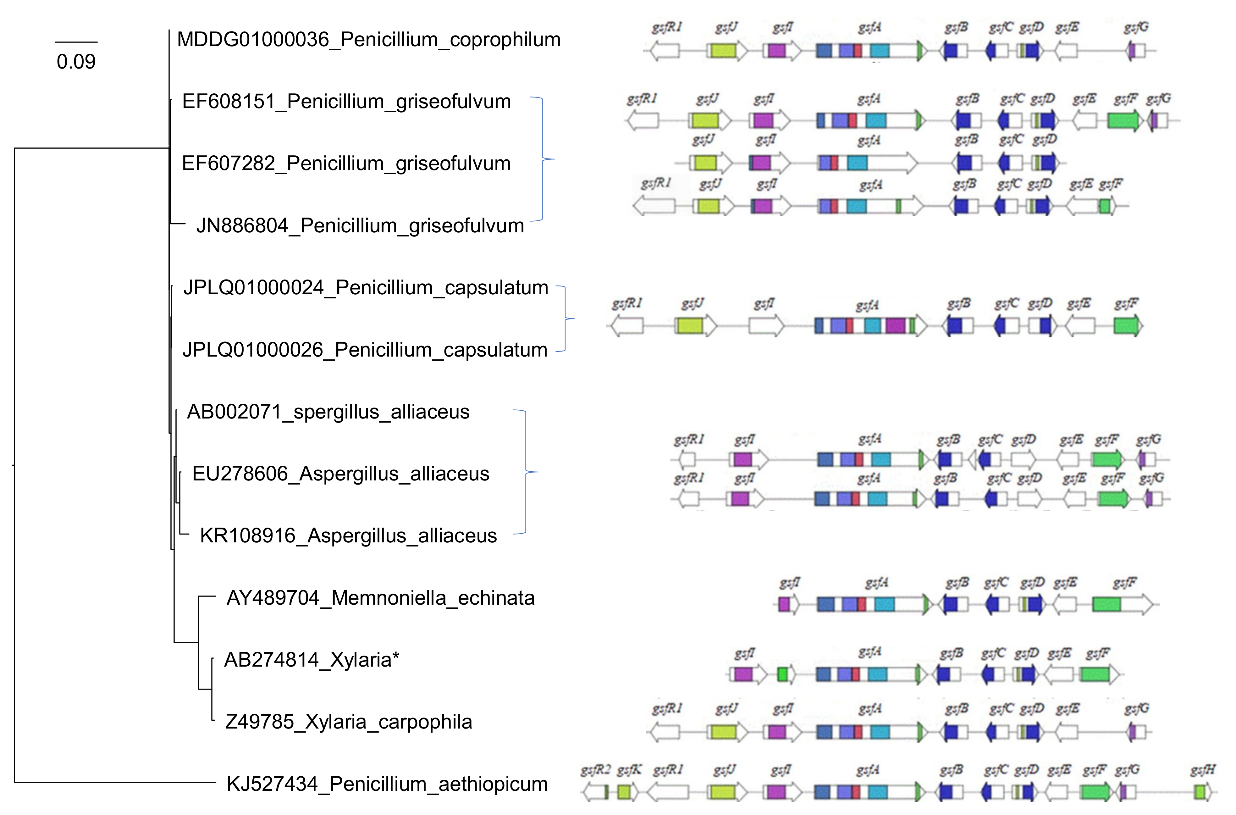 Molecules 27 07034 g001 Molecules 27 07034 g001