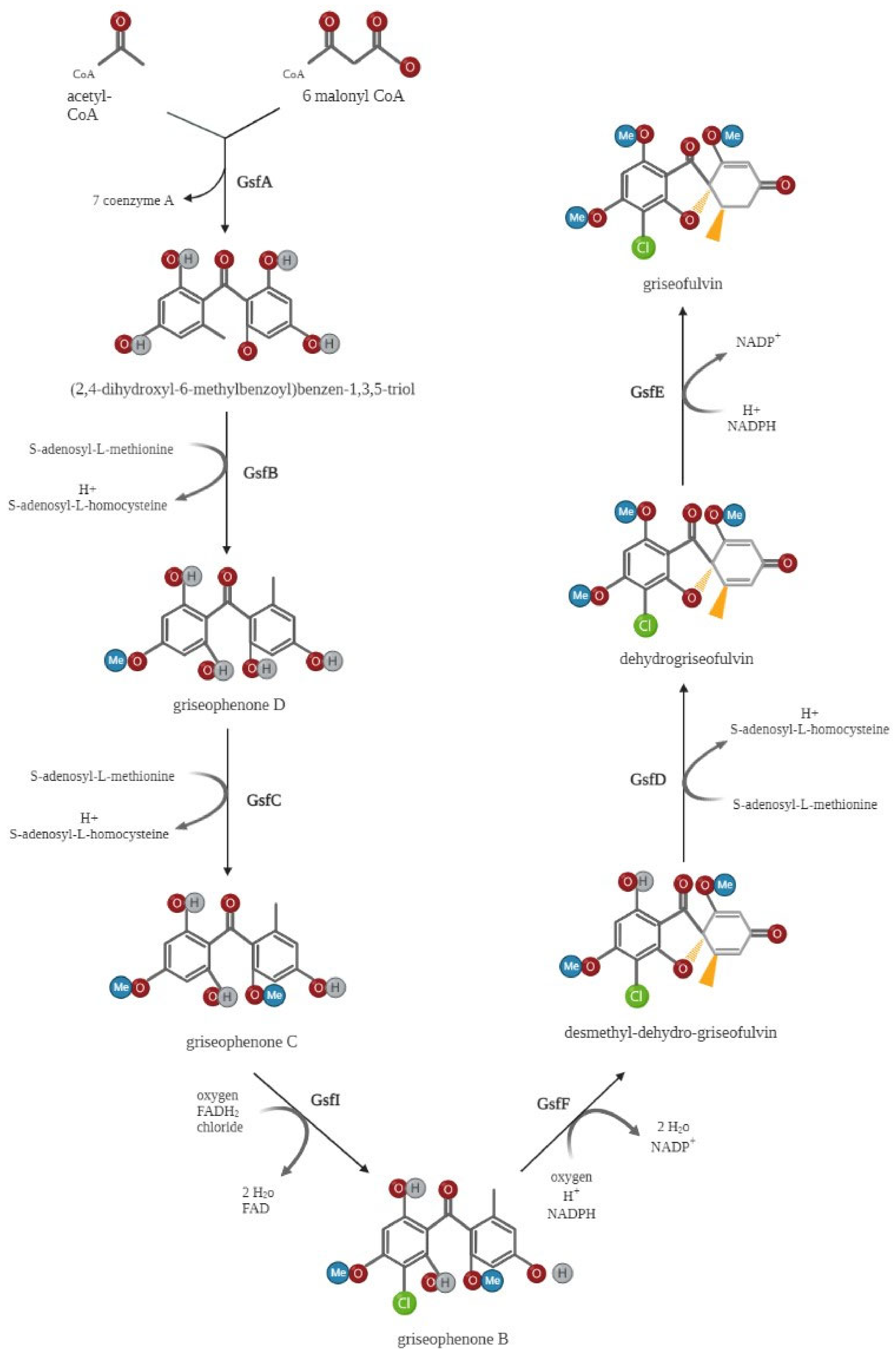 Molecules 27 07034 g002 Molecules 27 07034 g002
