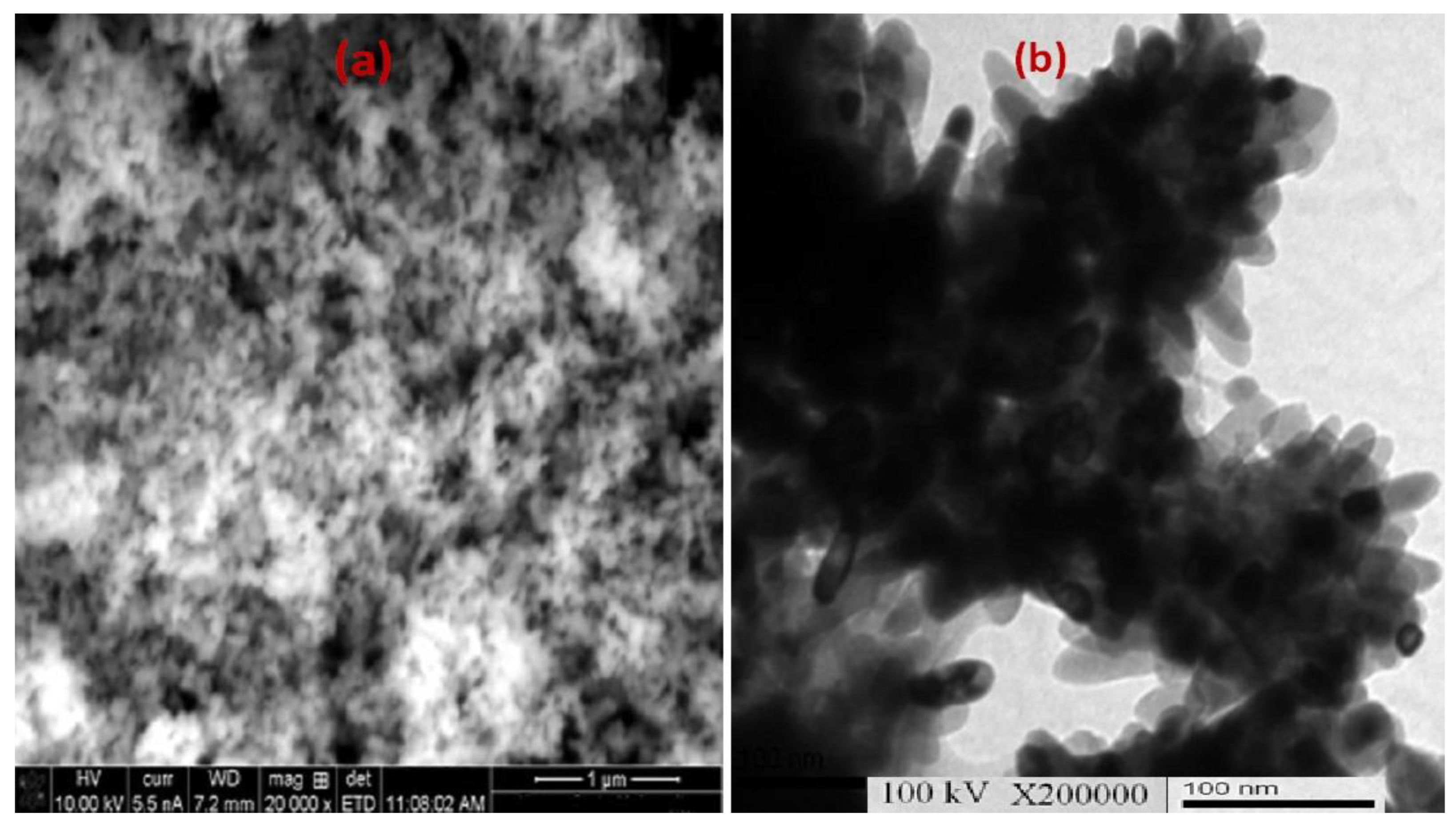 Molecules 27 07035 g003 Molecules 27 07035 g003