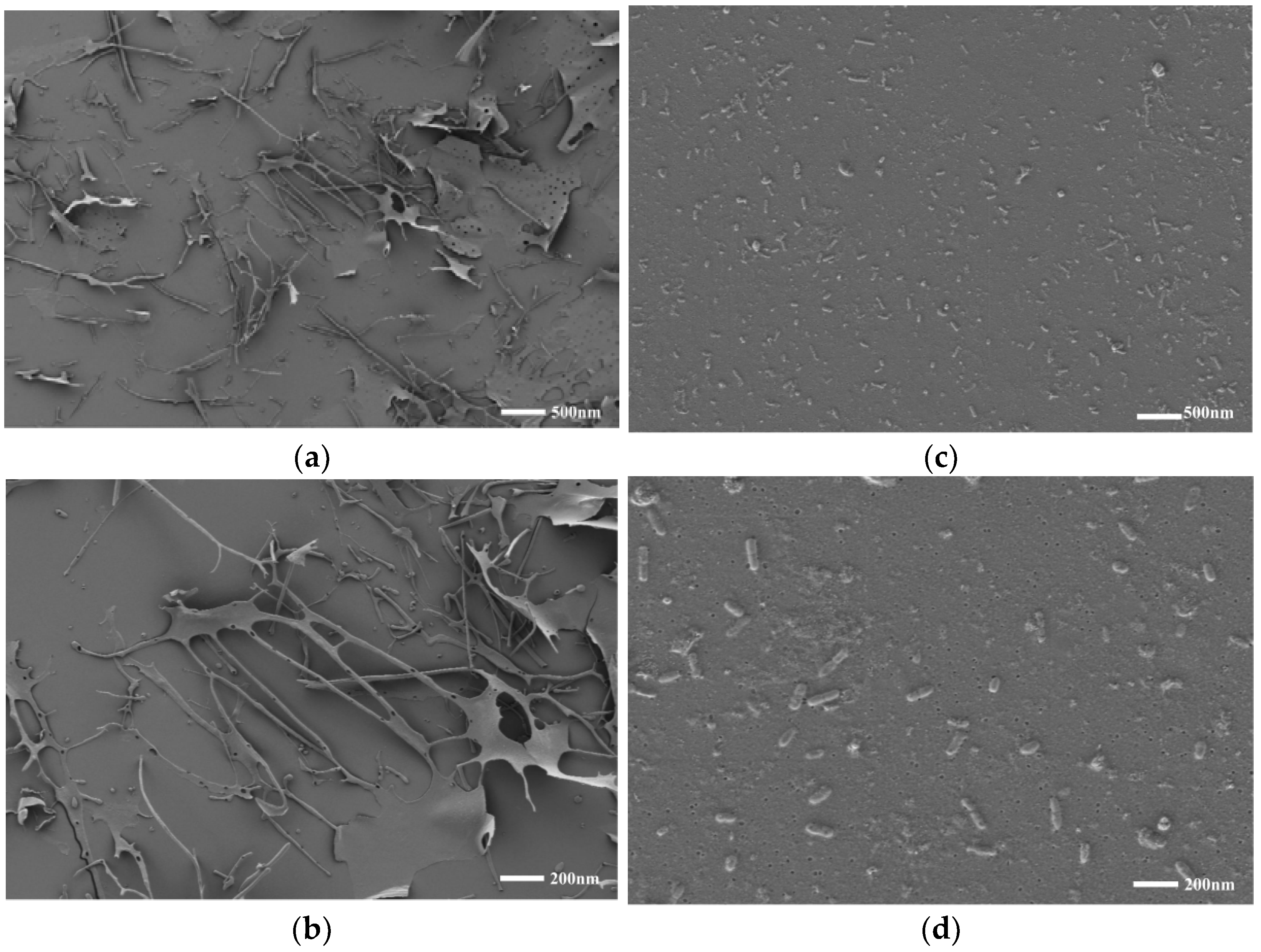 Molecules 27 07037 g004