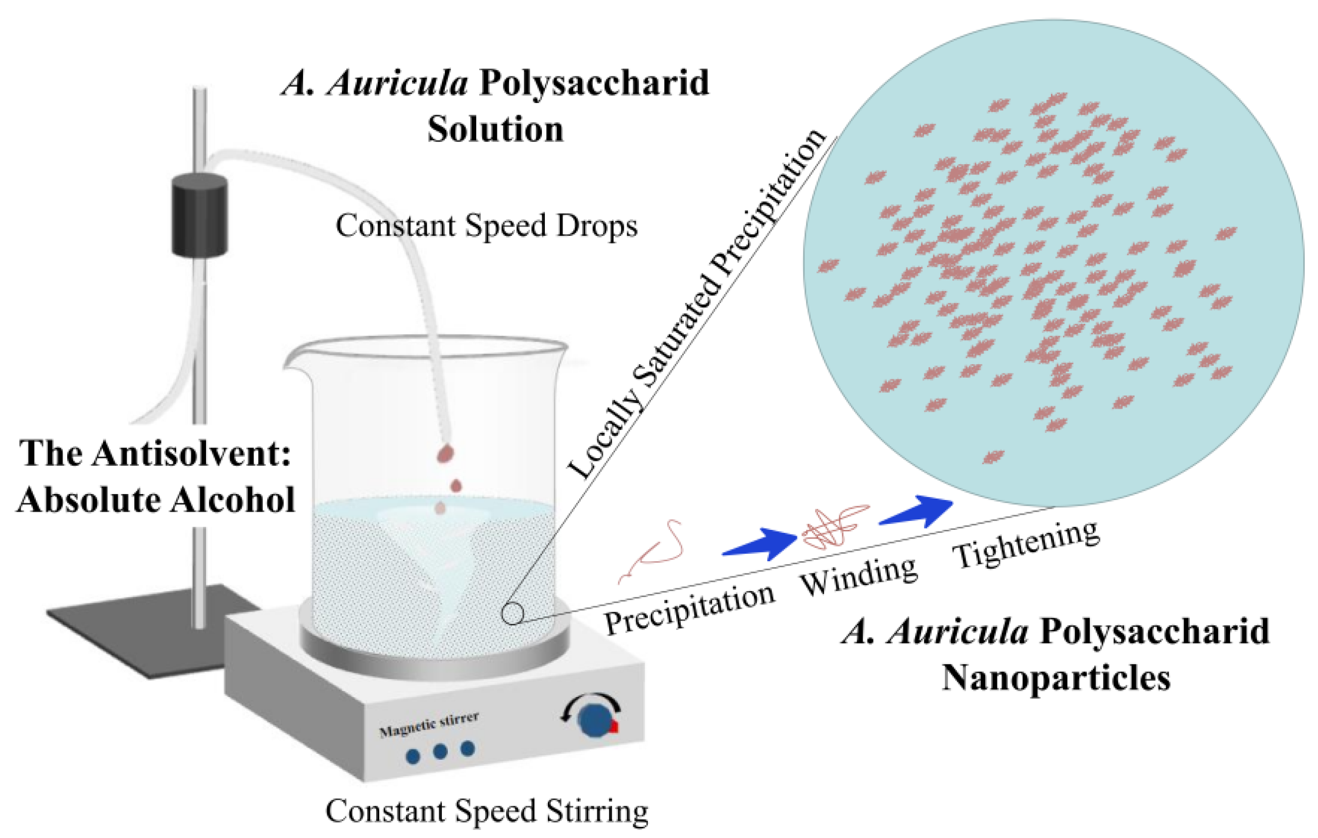 Molecules 27 07037 g009