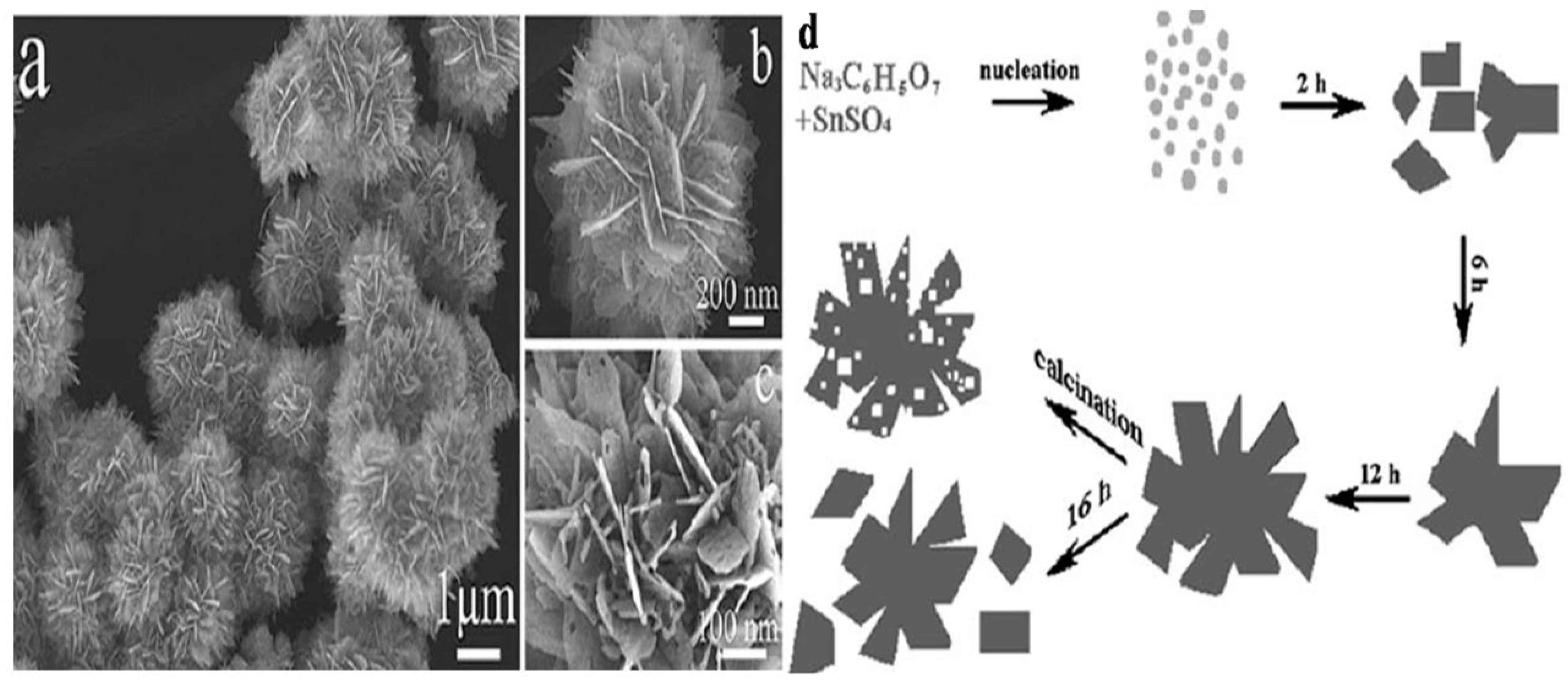 Molecules 27 07038 g003 Molecules 27 07038 g003