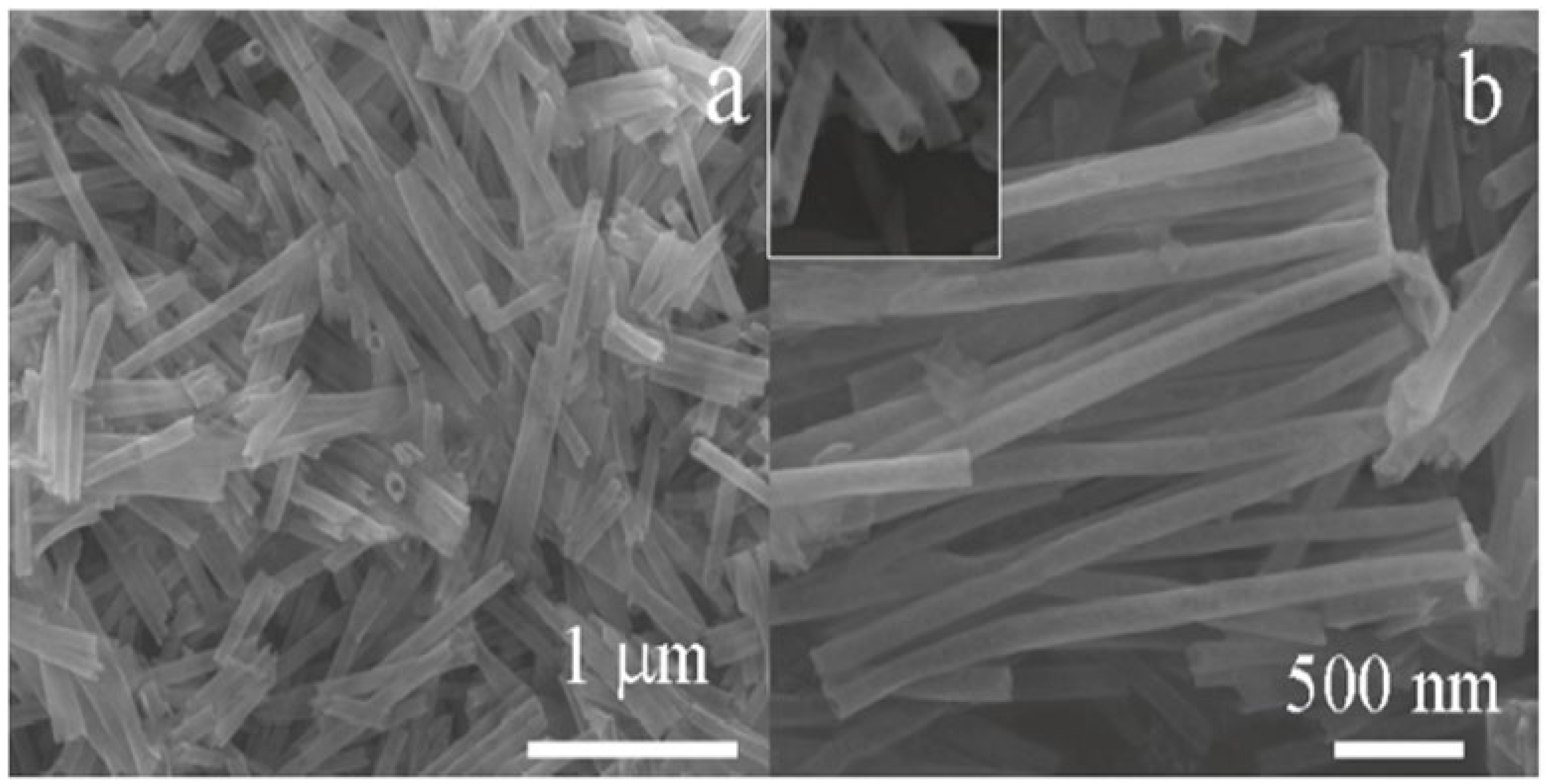 Molecules 27 07038 g007 Molecules 27 07038 g007