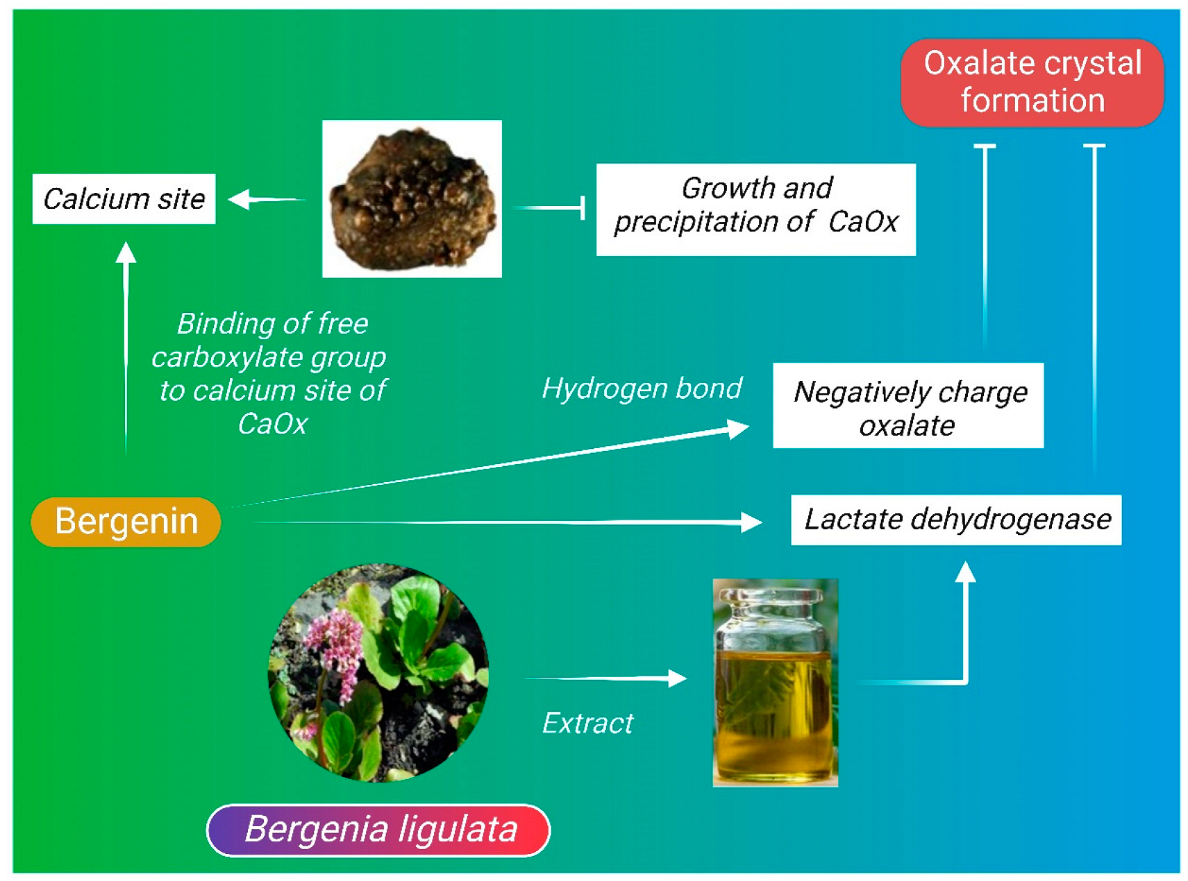 Molecules 27 07039 g002
