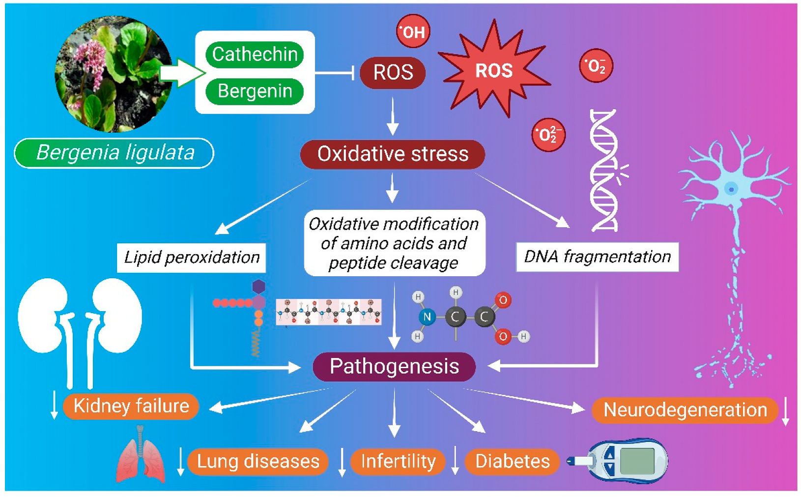 Molecules 27 07039 g003