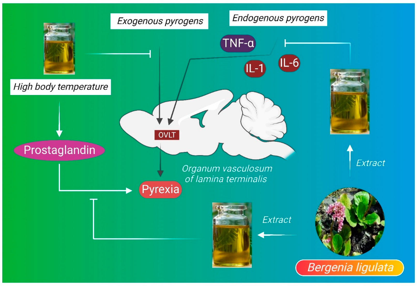 Molecules 27 07039 g004