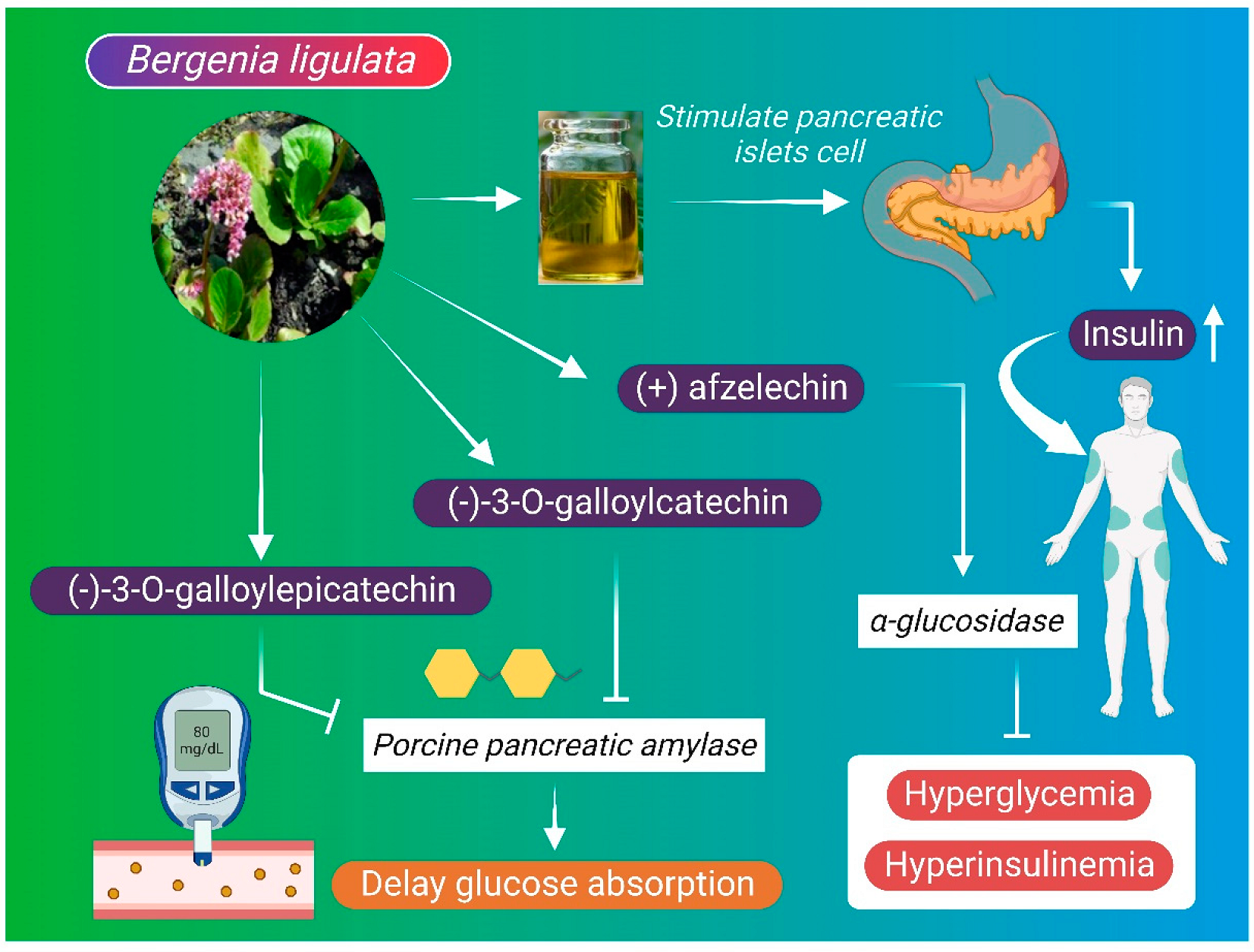 Molecules 27 07039 g005
