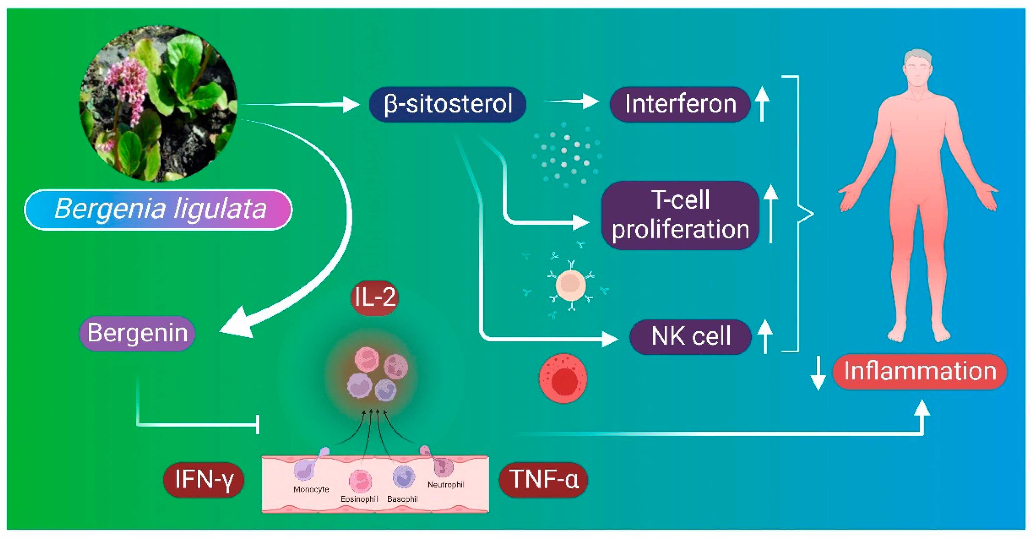 Molecules 27 07039 g006