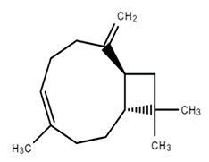 Molecules 27 07039 i011