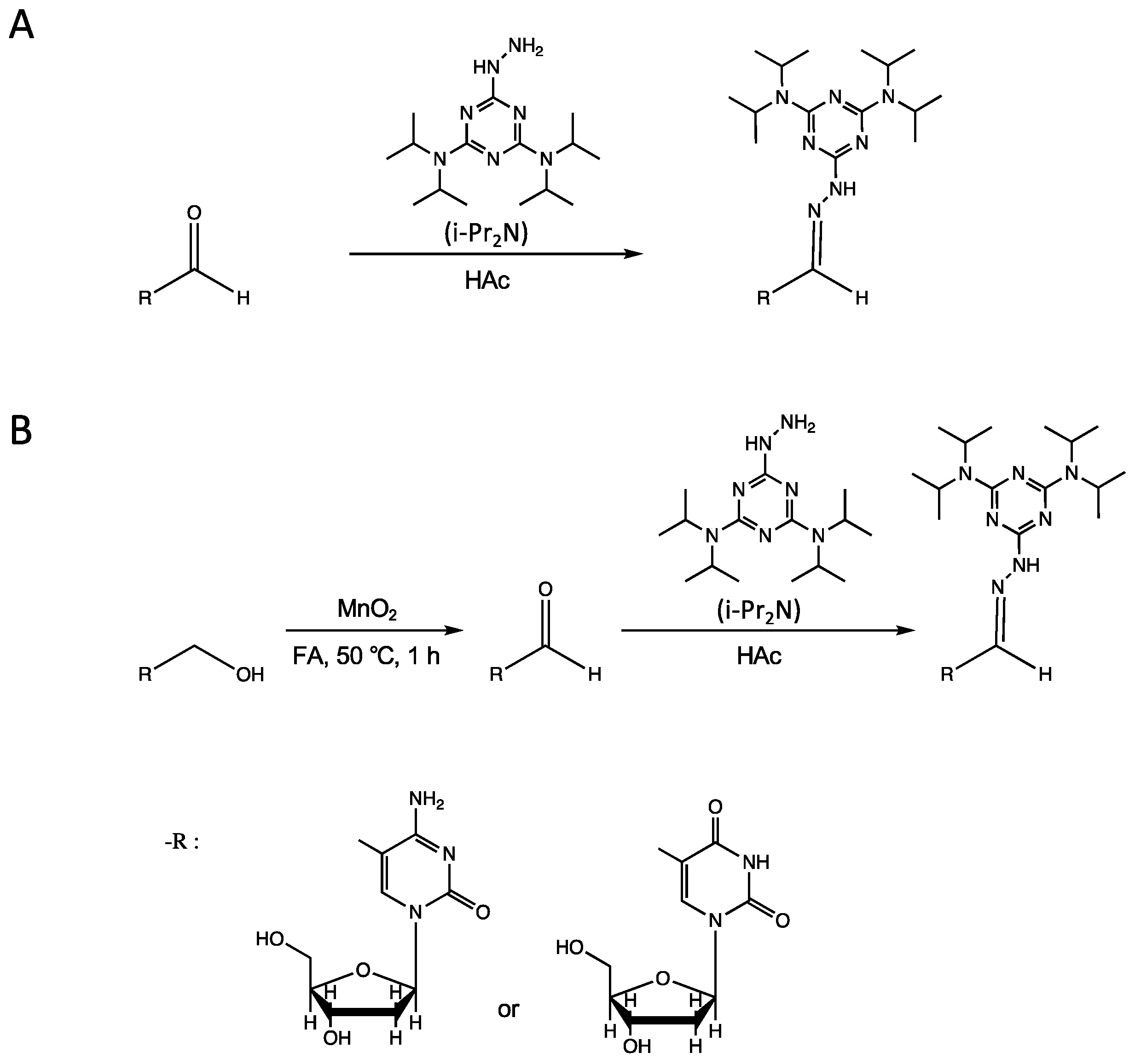 Molecules 27 07041 g001